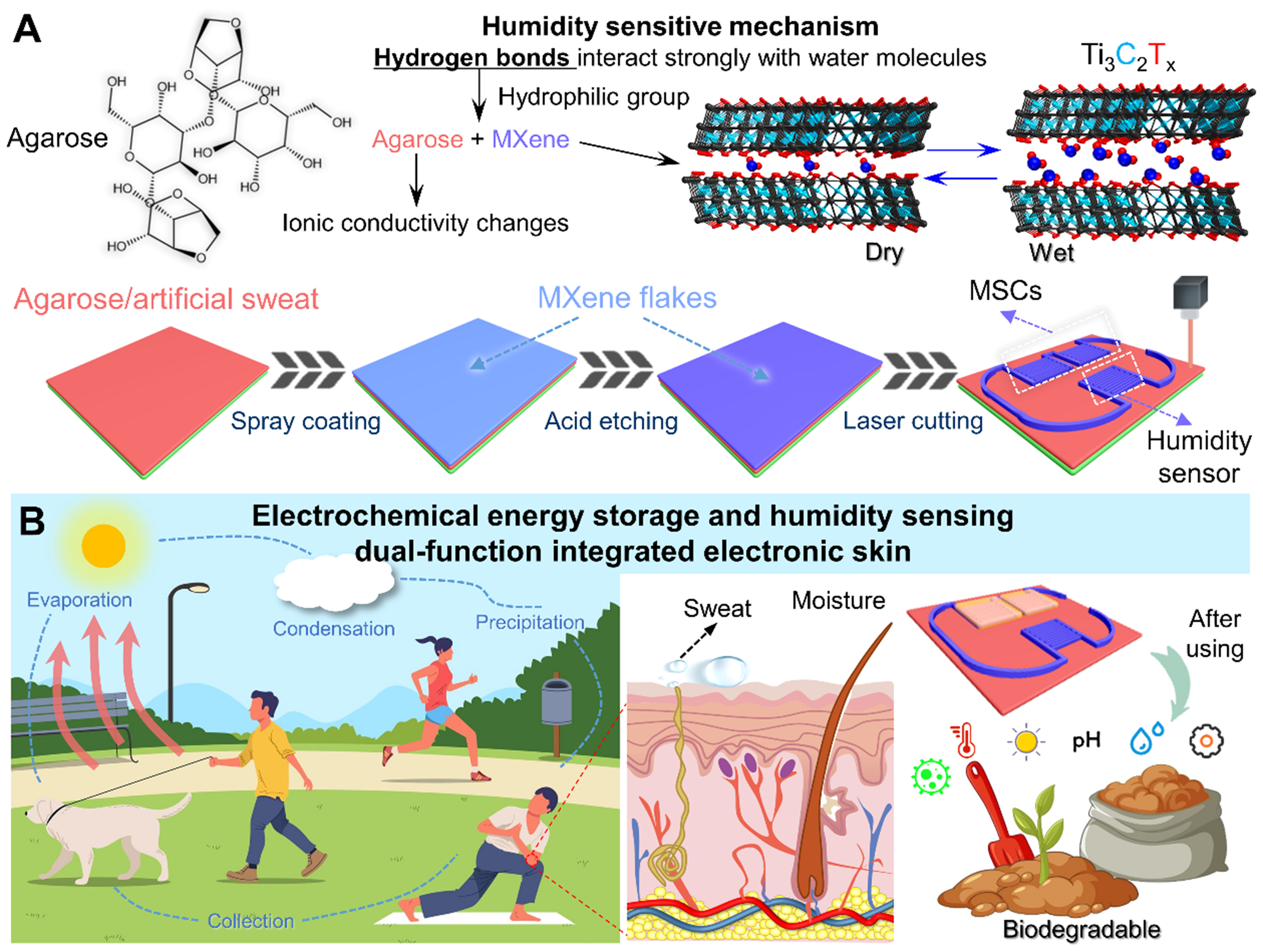 Biodegradable, self-powered E-skin for contactless respiratory and epidermal humidity monitoring