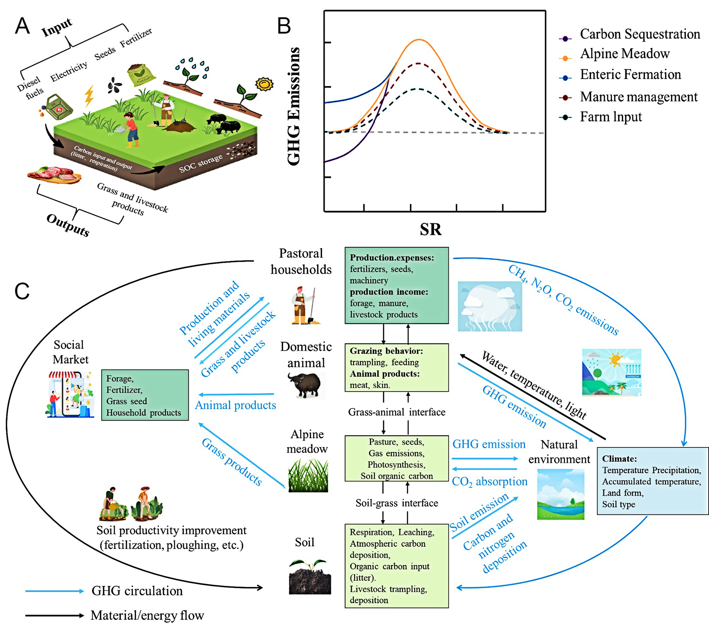 Carbon balance of yak ranch in alpine meadow