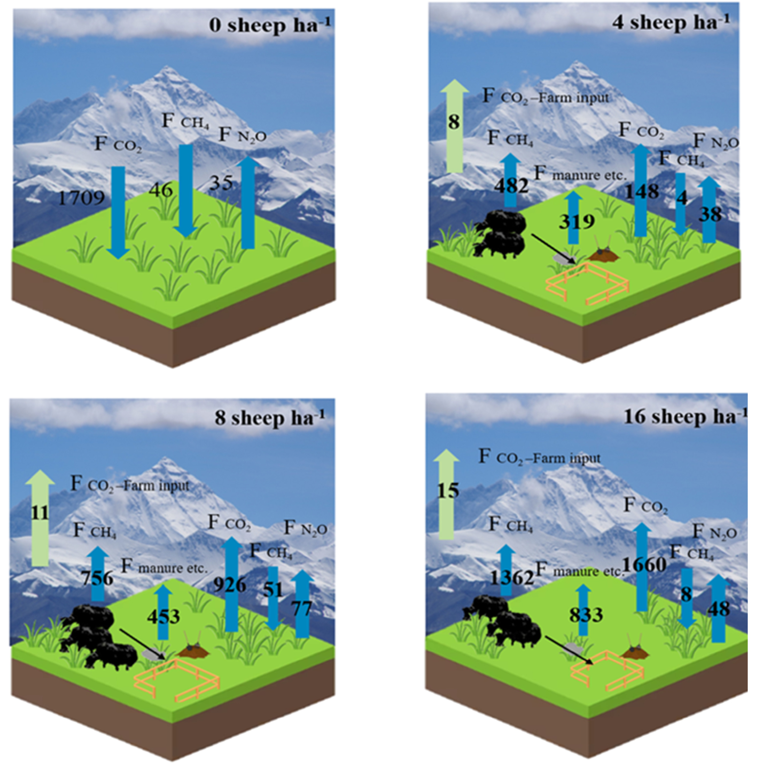 Carbon balance of yak ranch in alpine meadow