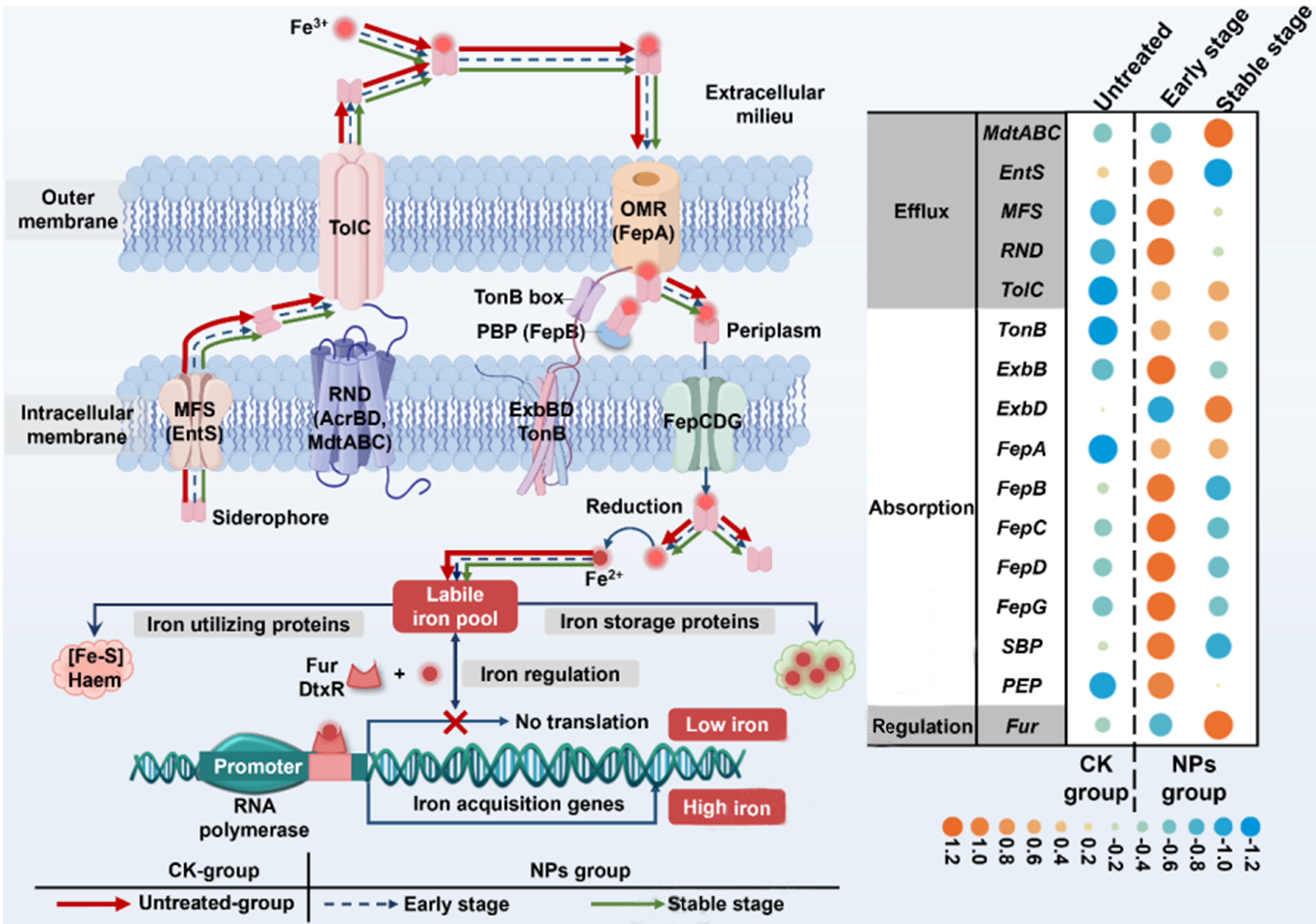 Microplastics and nanoplastics in ecosystems: mechanisms, microbial disruption, and functional consequences