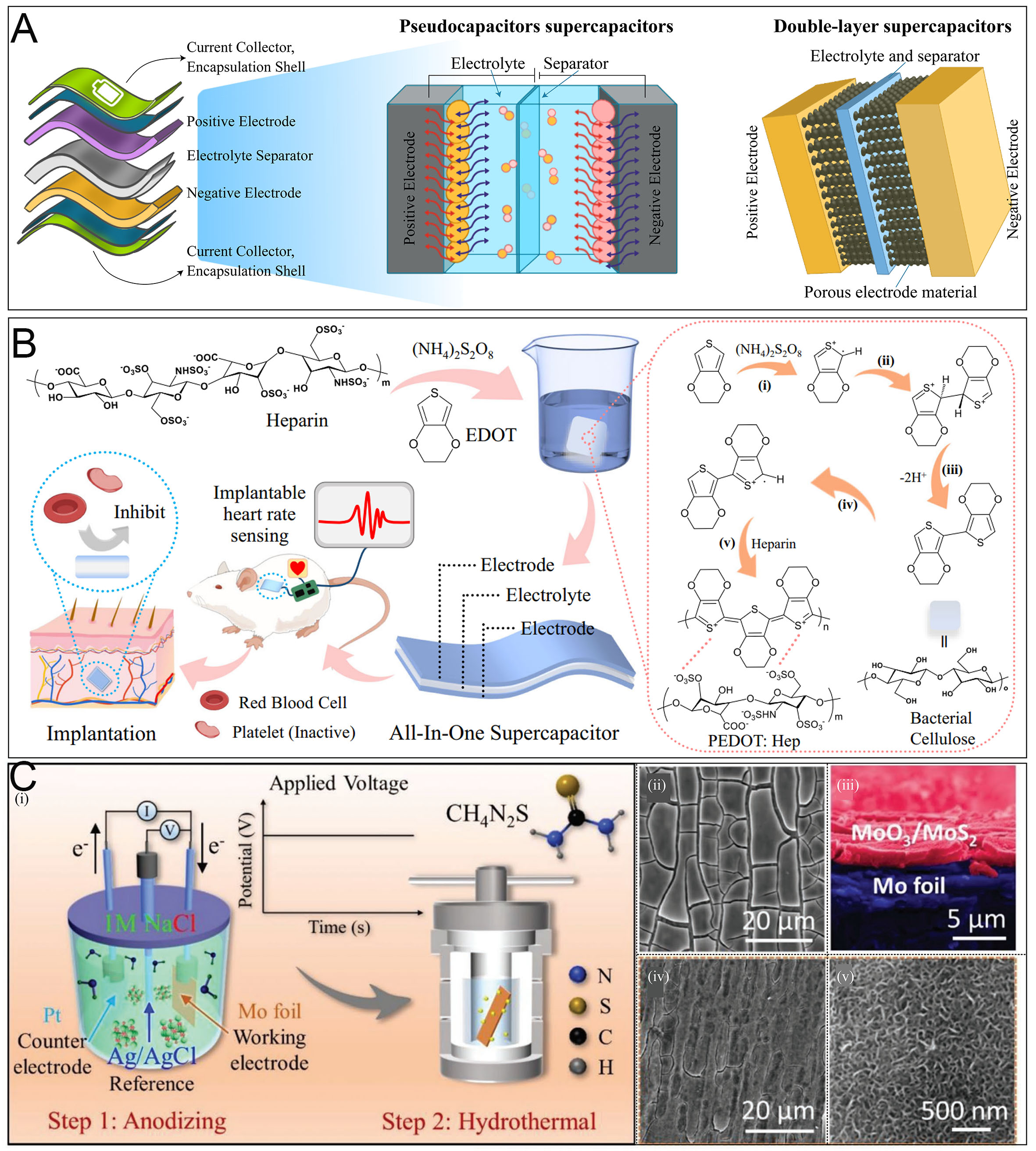 Sustainable clinical translation: development of implantable energy systems