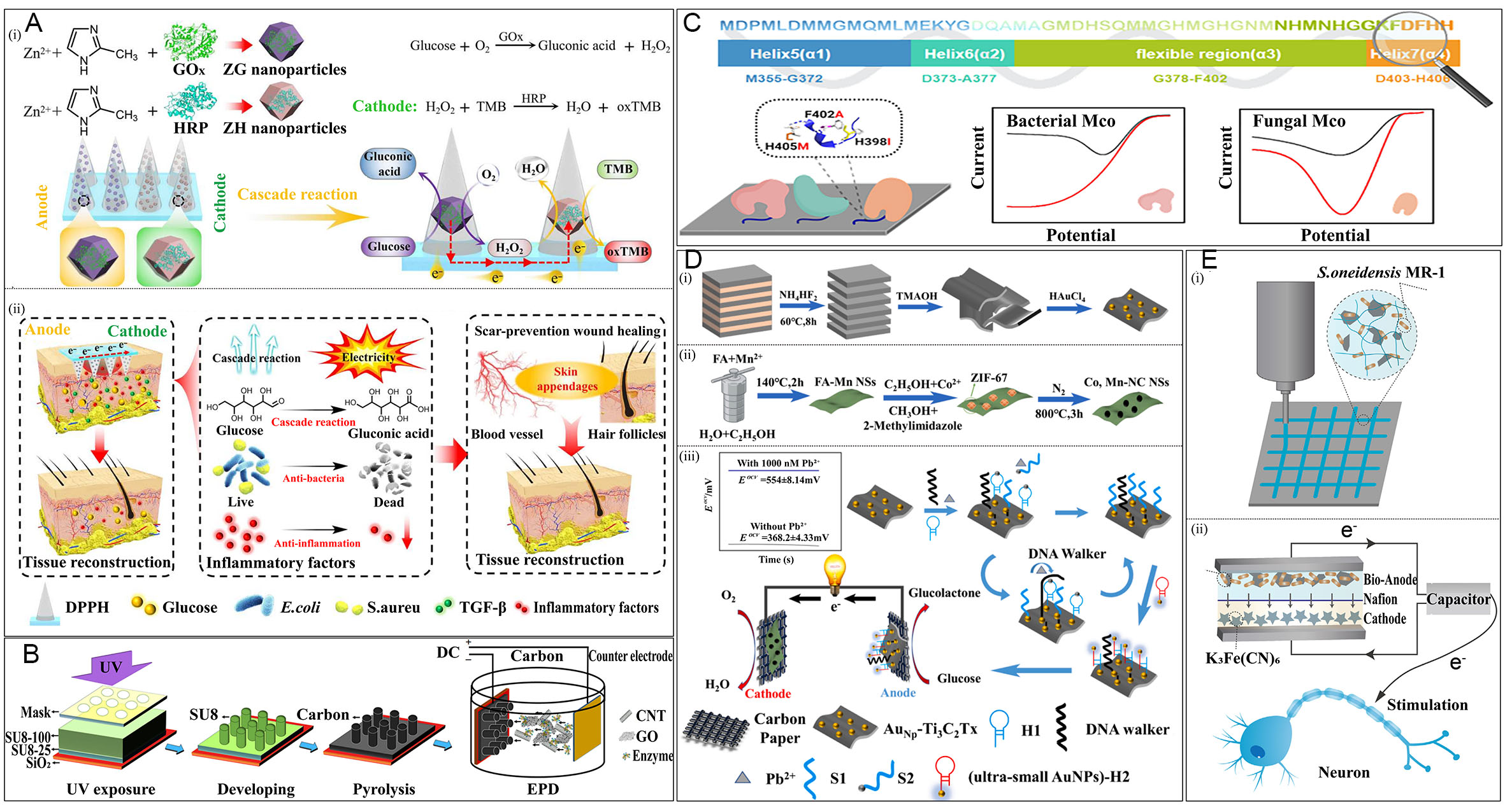 Sustainable clinical translation: development of implantable energy systems