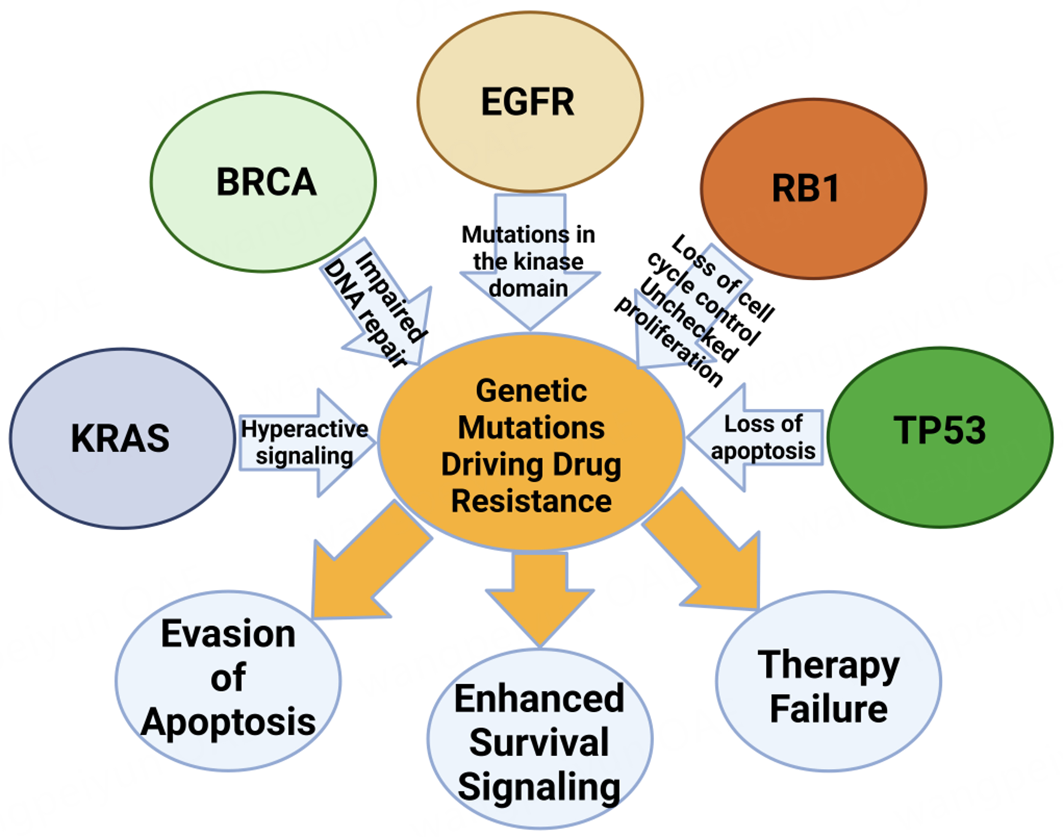 The genetic architecture of bone metastases: unveiling the role of epigenetic and genetic modifications in drug resistance