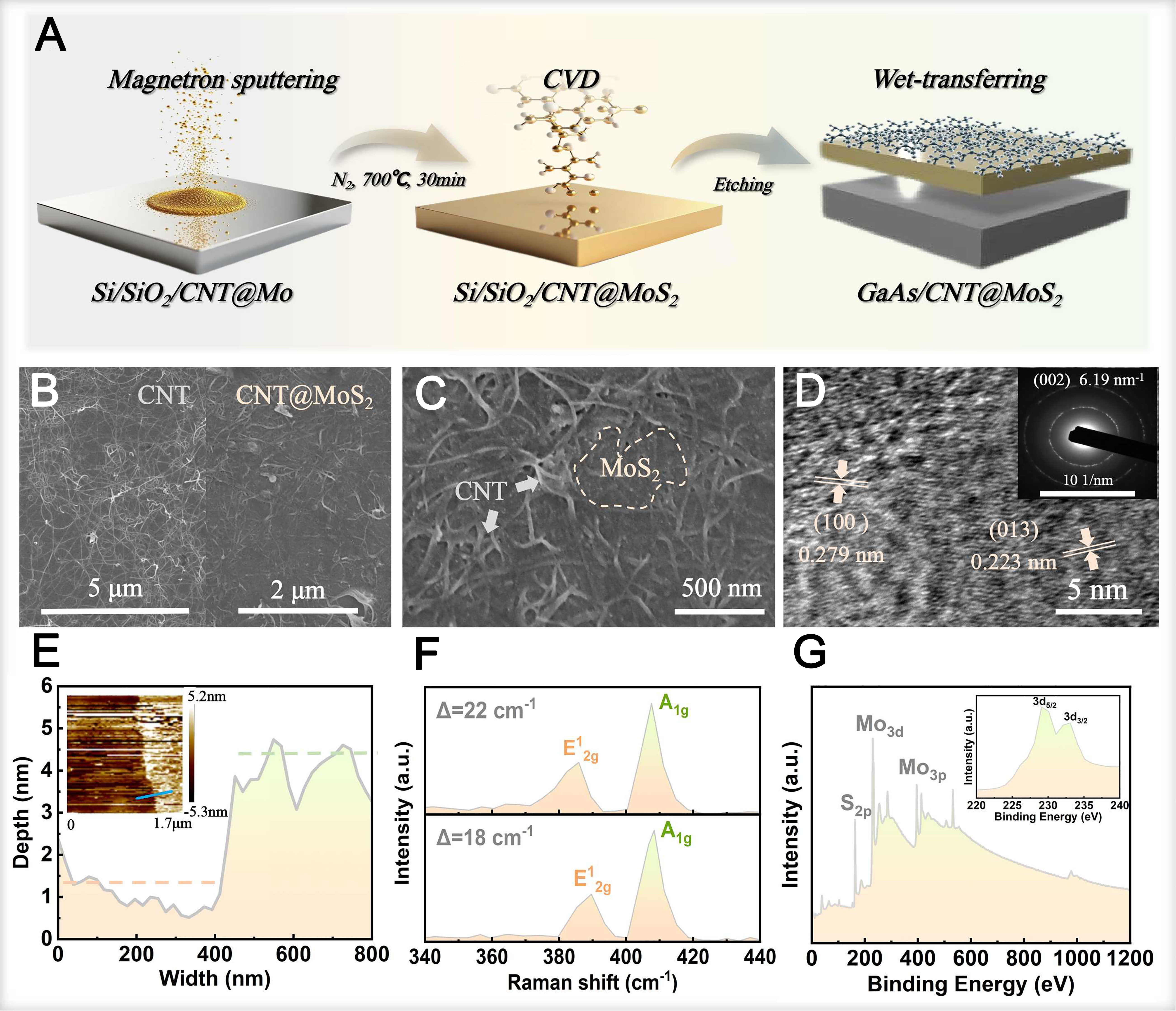 High-efficiency solar-to-hydrogen conversion via MoS<sub>2</sub>-enhanced GaAs heterojunctions for efficient photoelectrochemical water splitting