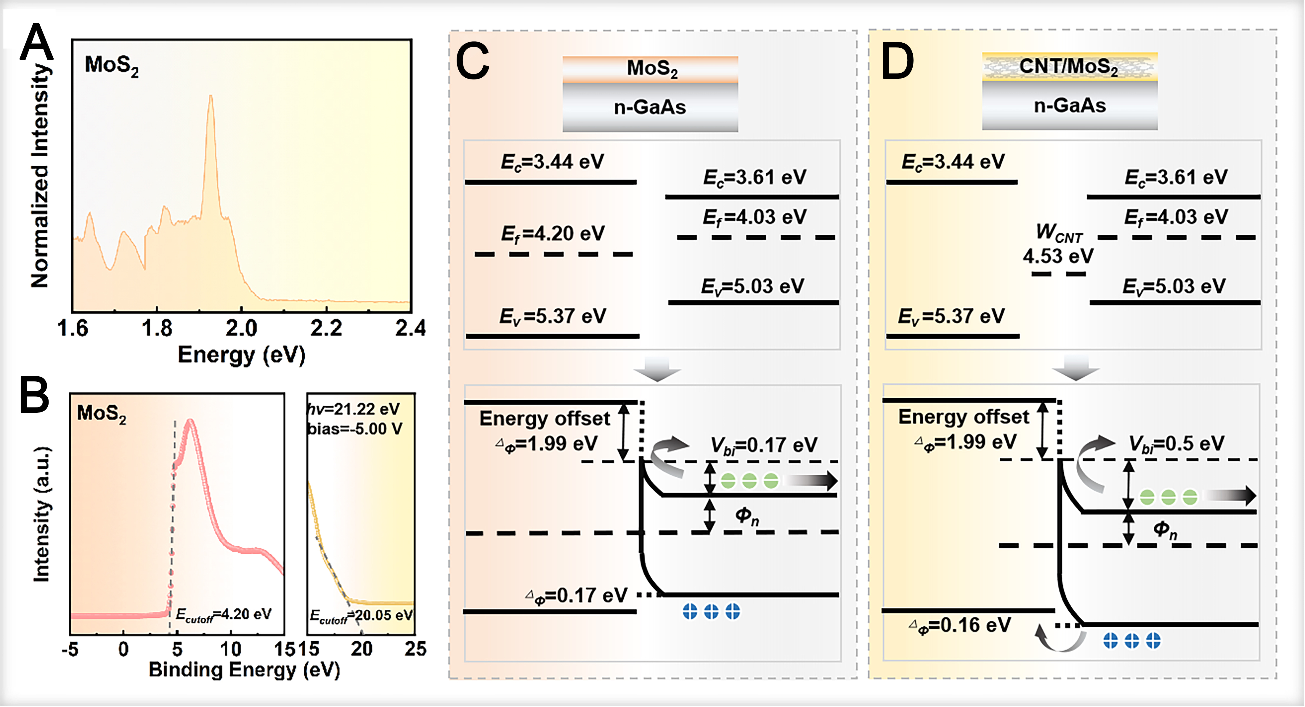 High-efficiency solar-to-hydrogen conversion via MoS<sub>2</sub>-enhanced GaAs heterojunctions for efficient photoelectrochemical water splitting