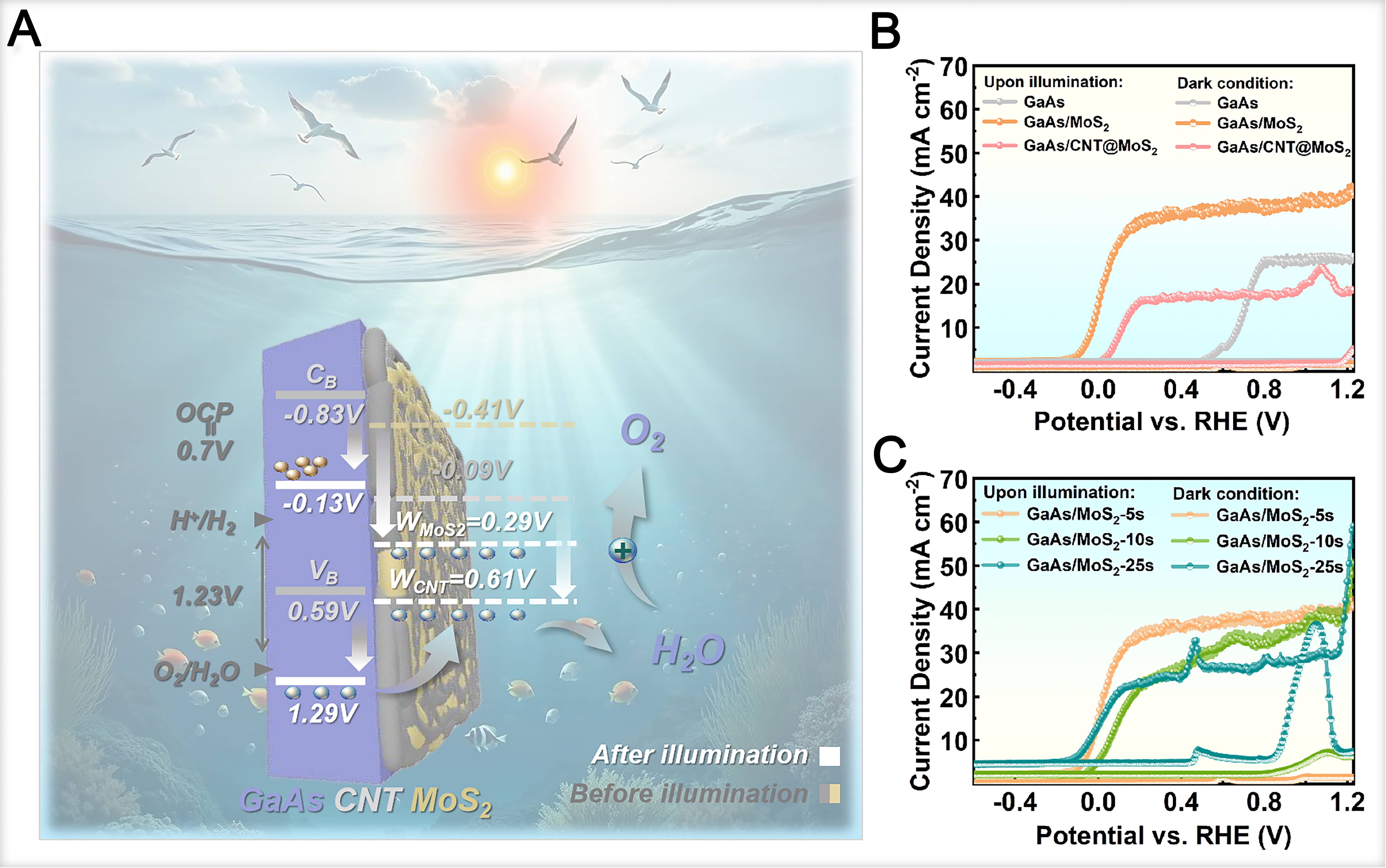 High-efficiency solar-to-hydrogen conversion via MoS<sub>2</sub>-enhanced GaAs heterojunctions for efficient photoelectrochemical water splitting