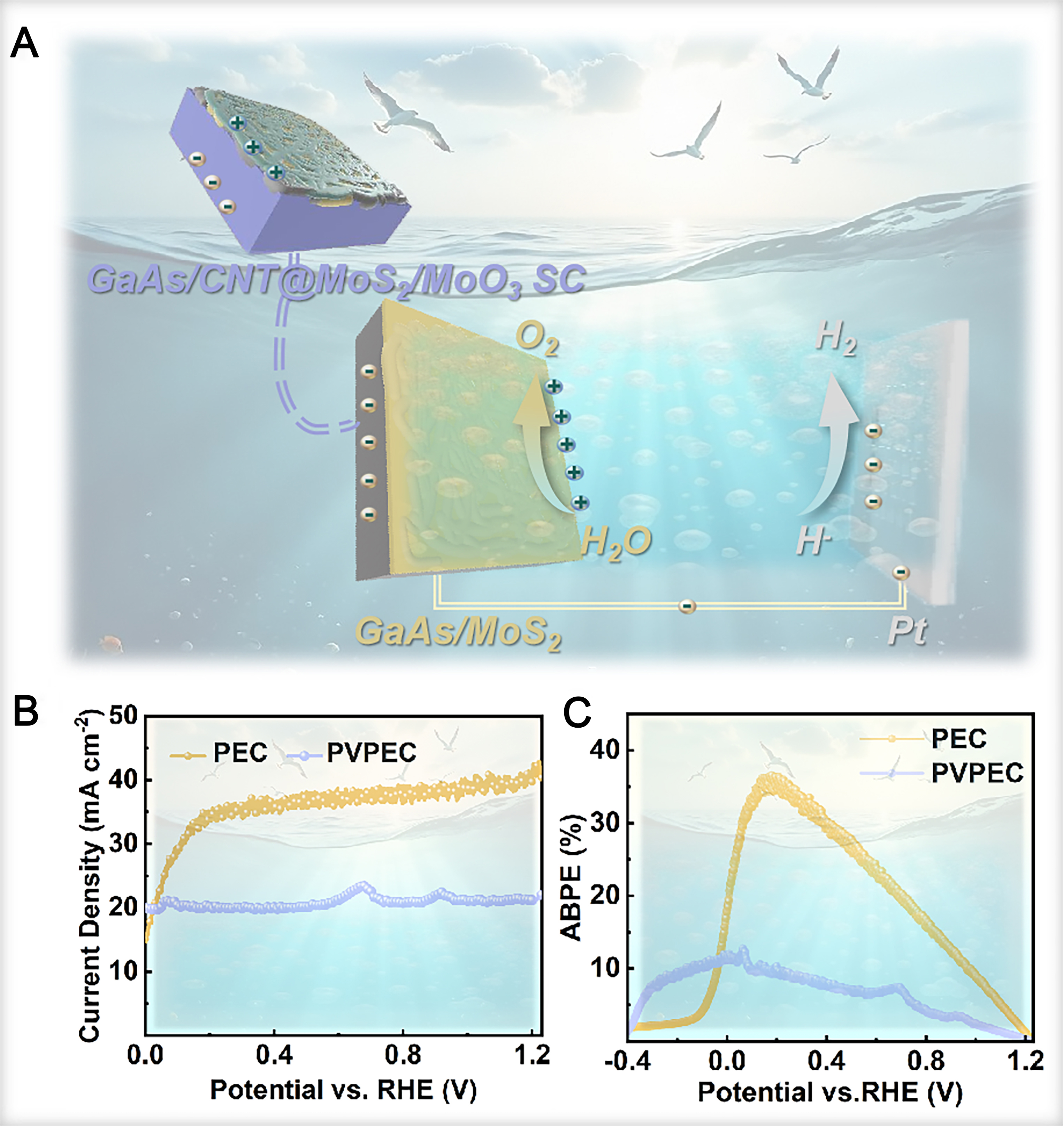 High-efficiency solar-to-hydrogen conversion via MoS<sub>2</sub>-enhanced GaAs heterojunctions for efficient photoelectrochemical water splitting