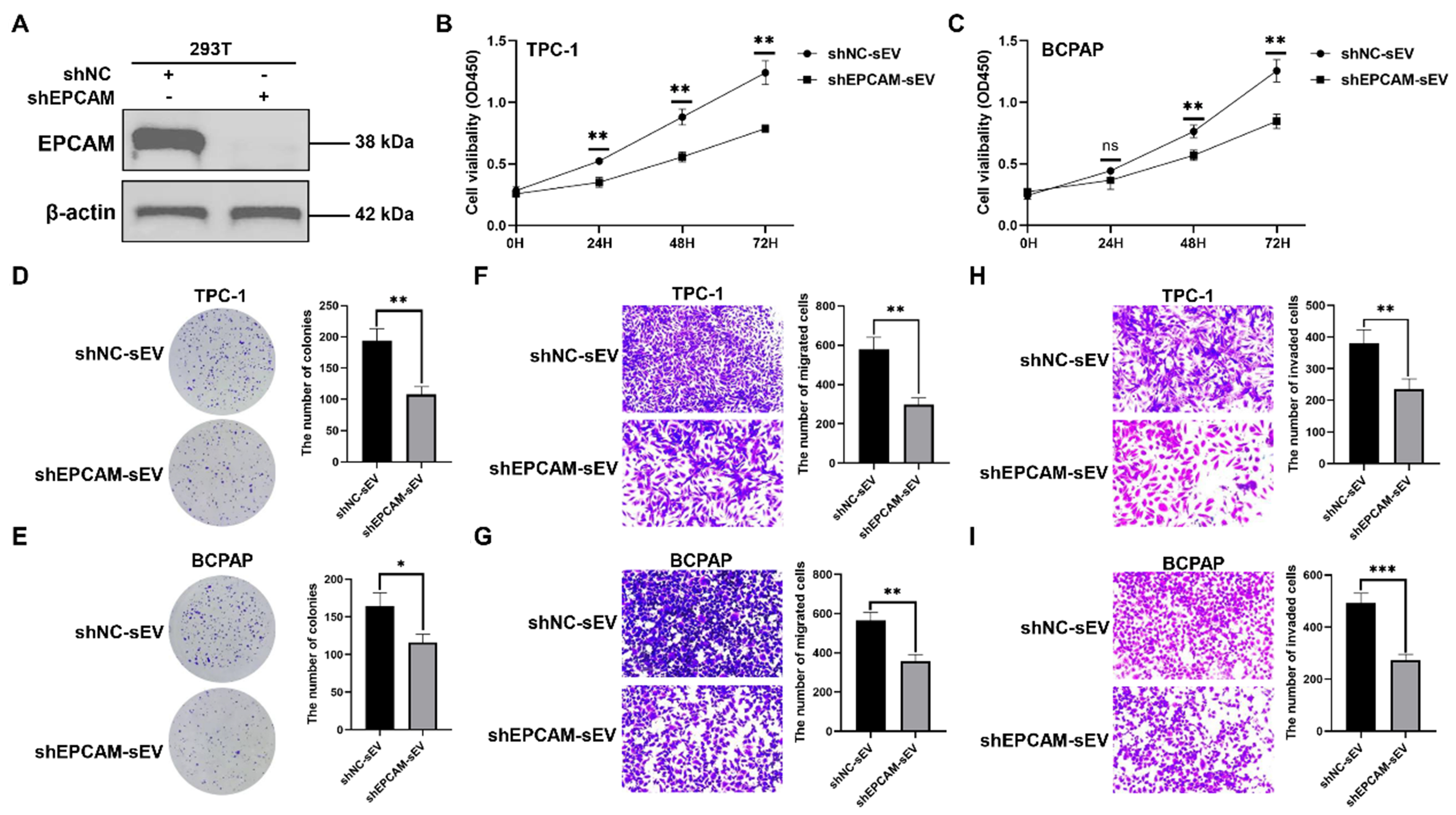 A single-sEV analysis identifies plasma EPCAM<sup>+</sup> sEVs as a biomarker for early diagnosis and monitoring postoperative remission of thyroid cancer