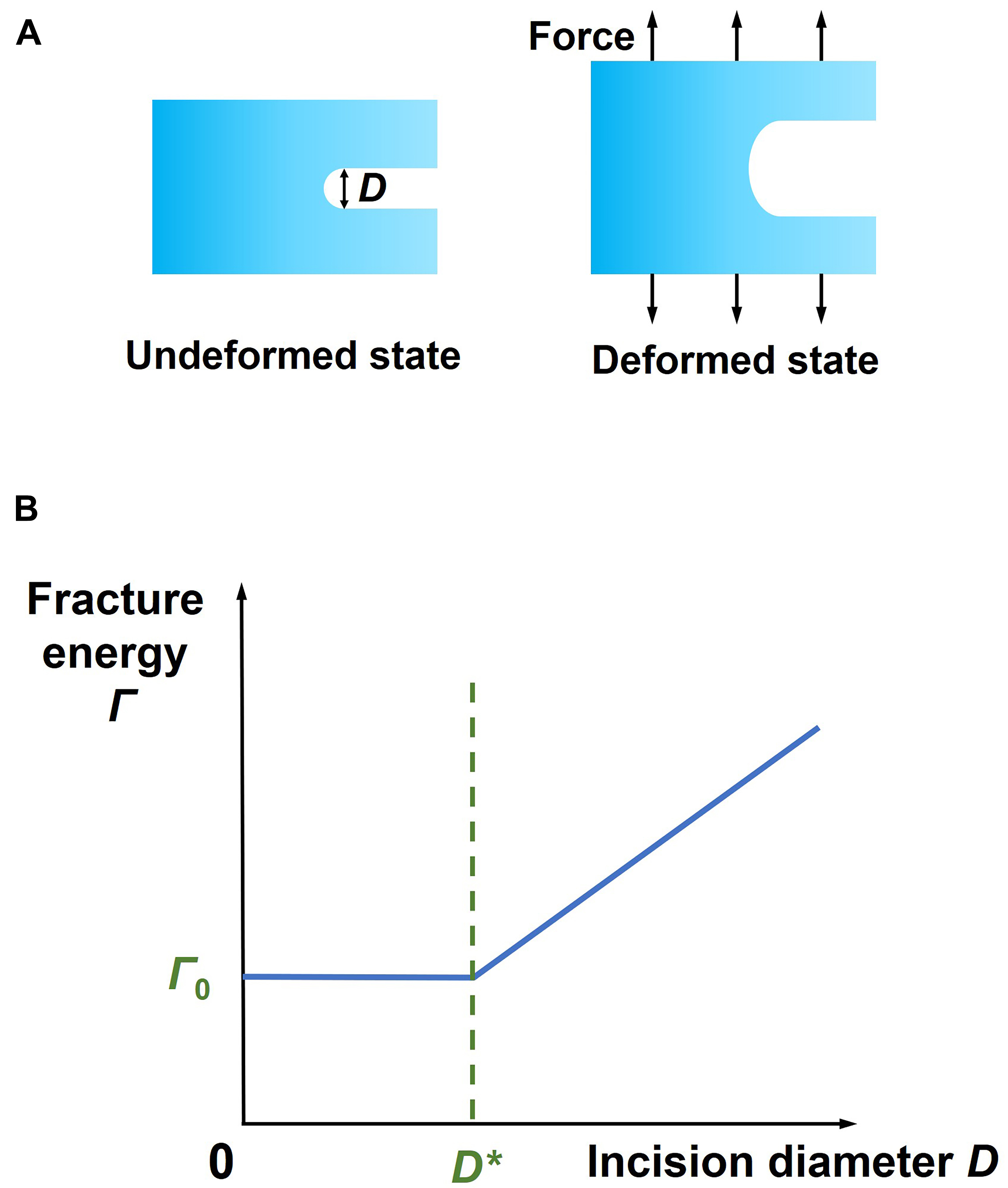 Effect of incision curvature on measuring fracture energy of soft materials