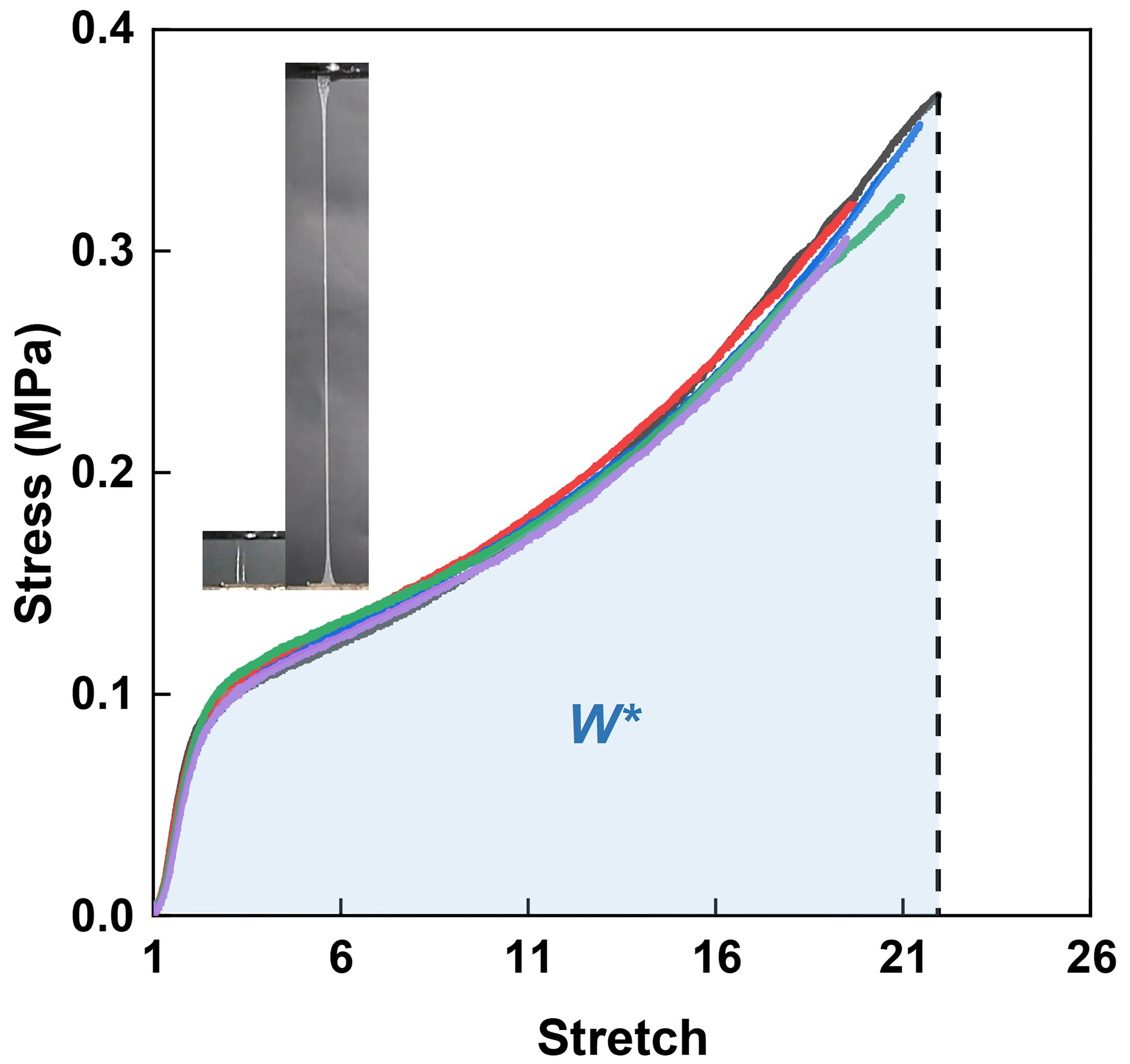 Effect of incision curvature on measuring fracture energy of soft materials