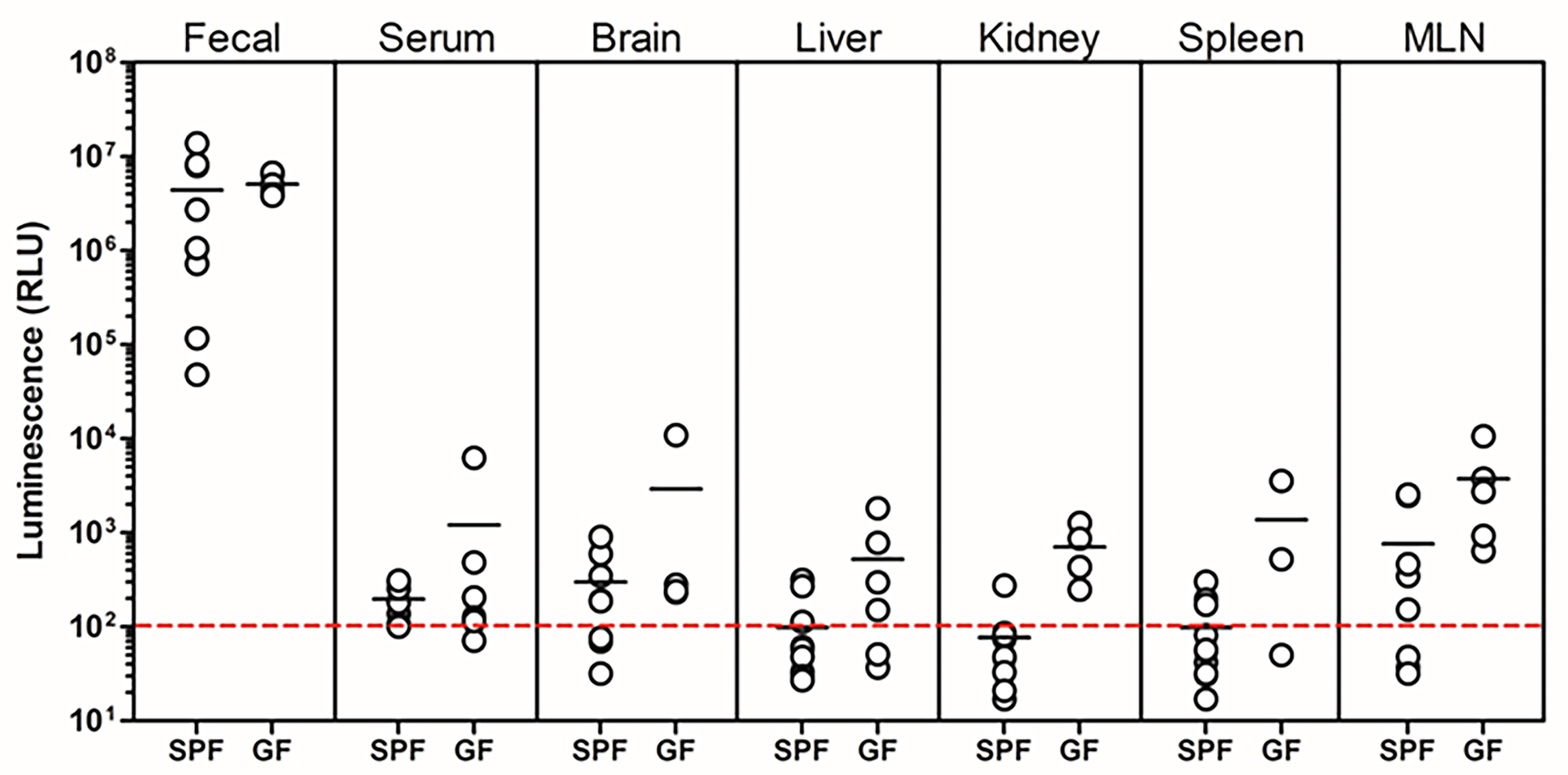 Special delivery - extracellular vesicles released by commensal gut bacteria deliver bioactive protein to distal organs