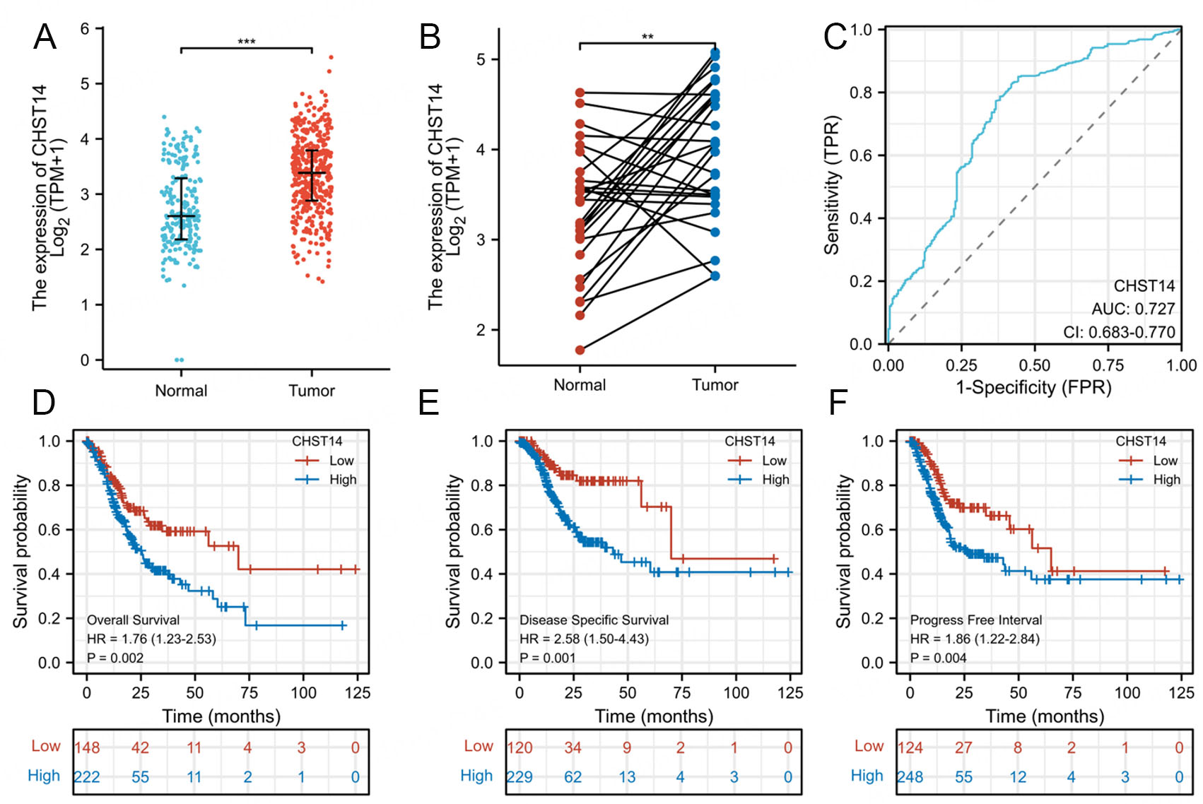 Deciphering the role of CHST14 in gastric cancer through <i>in silico</i> analysis