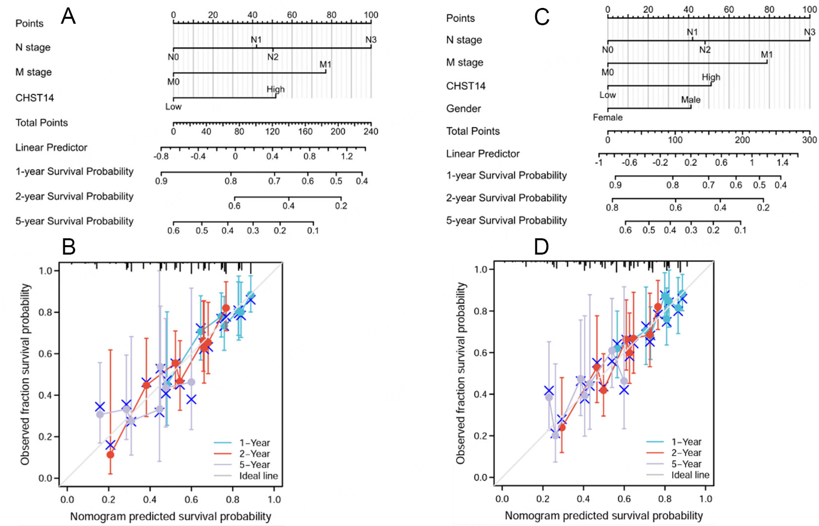 Deciphering the role of CHST14 in gastric cancer through <i>in silico</i> analysis
