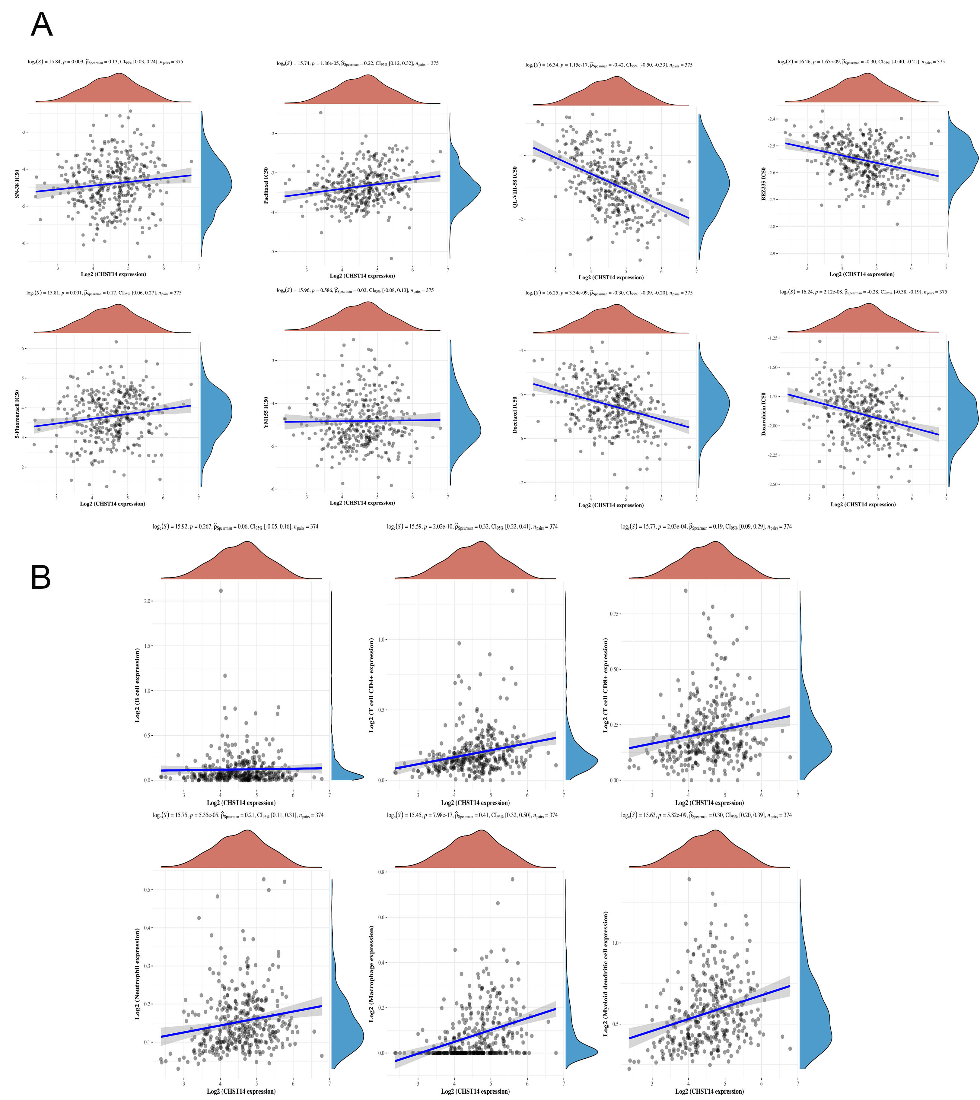Deciphering the role of CHST14 in gastric cancer through <i>in silico</i> analysis