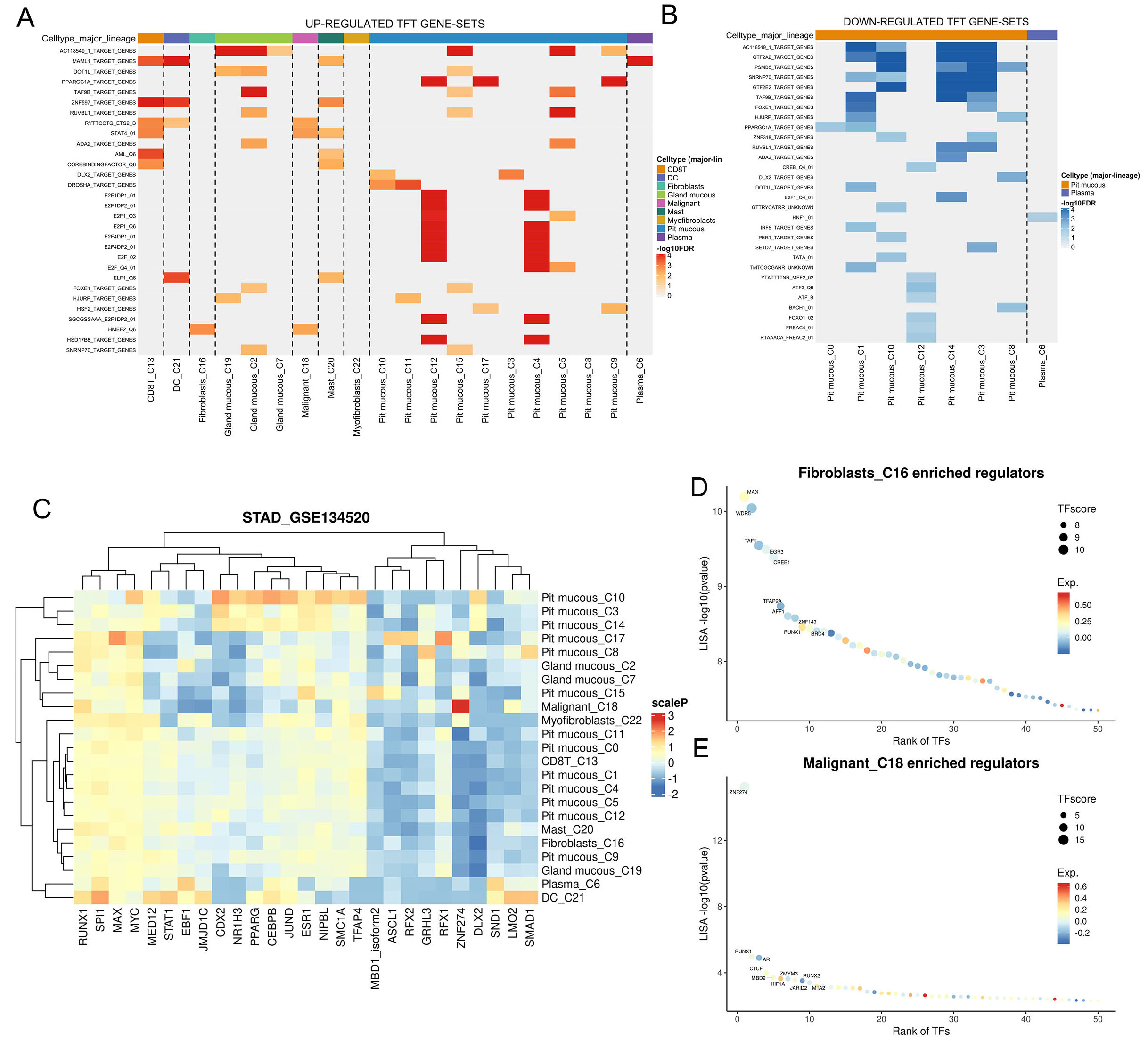 Deciphering the role of CHST14 in gastric cancer through <i>in silico</i> analysis