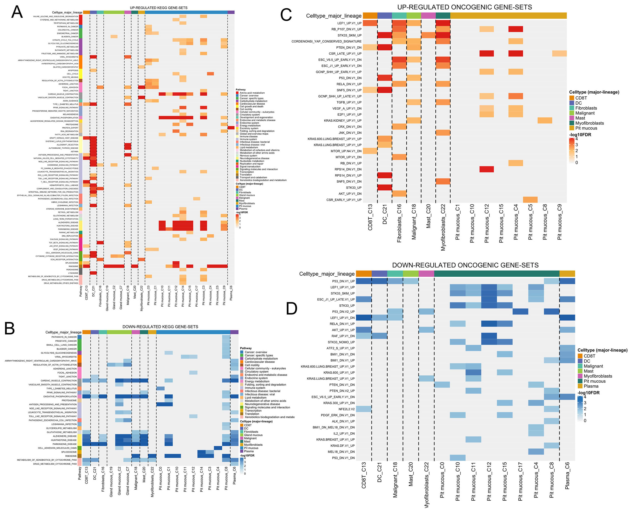 Deciphering the role of CHST14 in gastric cancer through <i>in silico</i> analysis