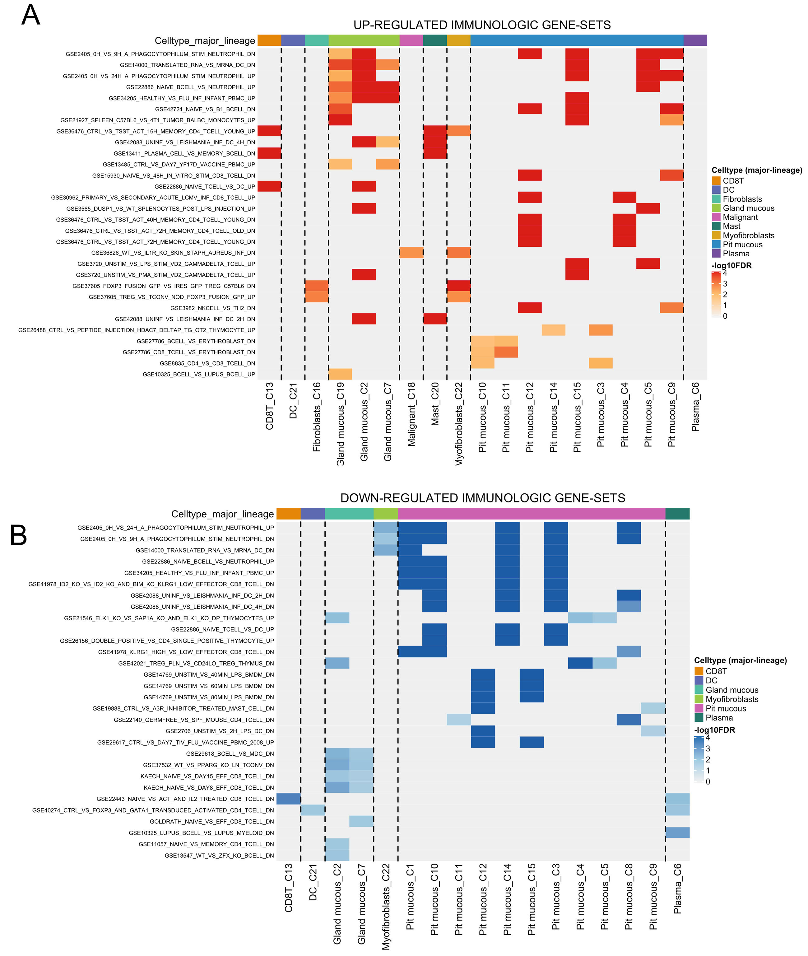 Deciphering the role of CHST14 in gastric cancer through <i>in silico</i> analysis