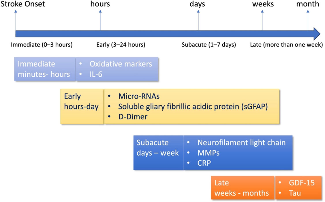 Emerging biomarkers in ischemic stroke