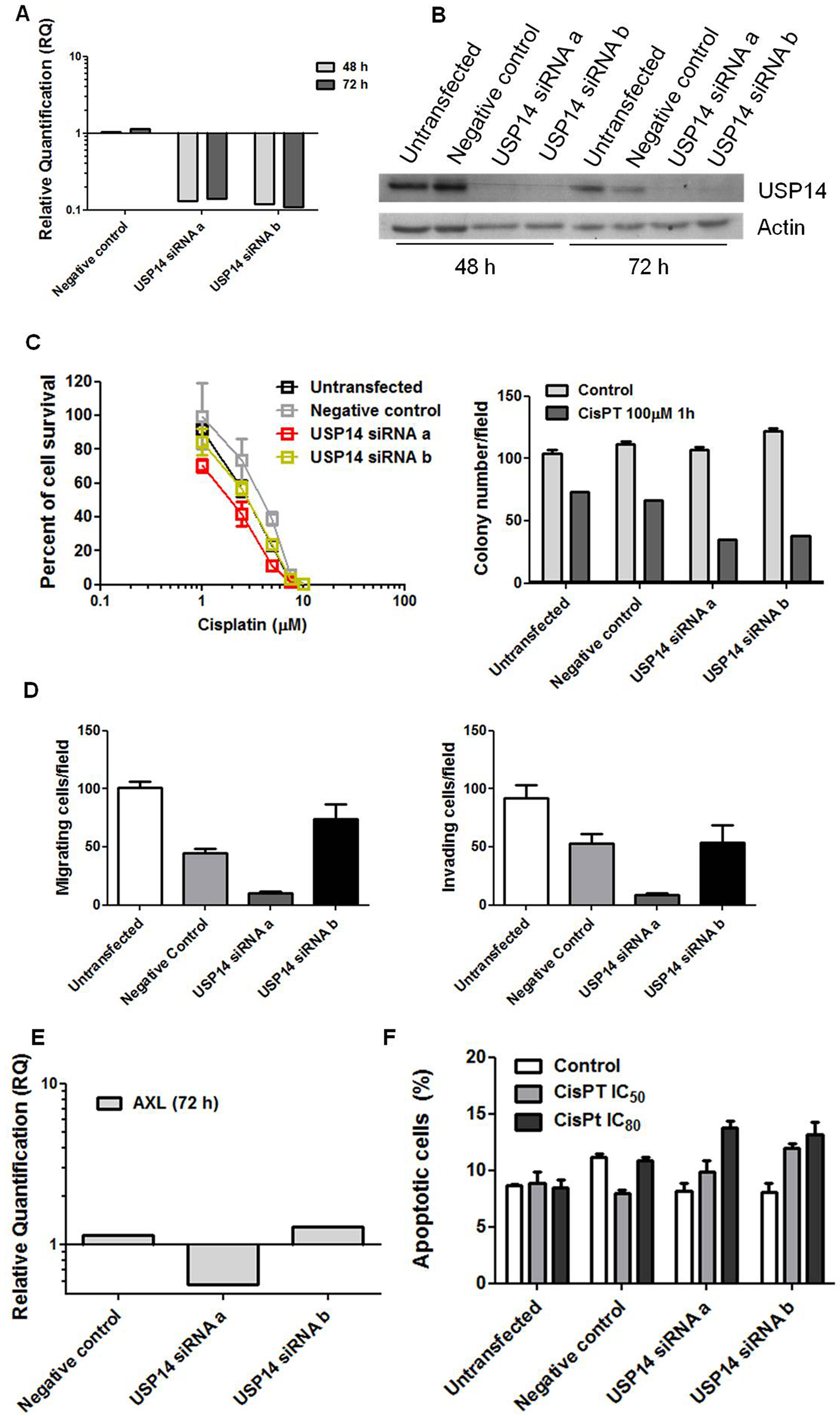 Molecular targeting of the deubiquitinase USP14 to circumvent cisplatin resistance in ovarian carcinoma and identification of novel inhibitors