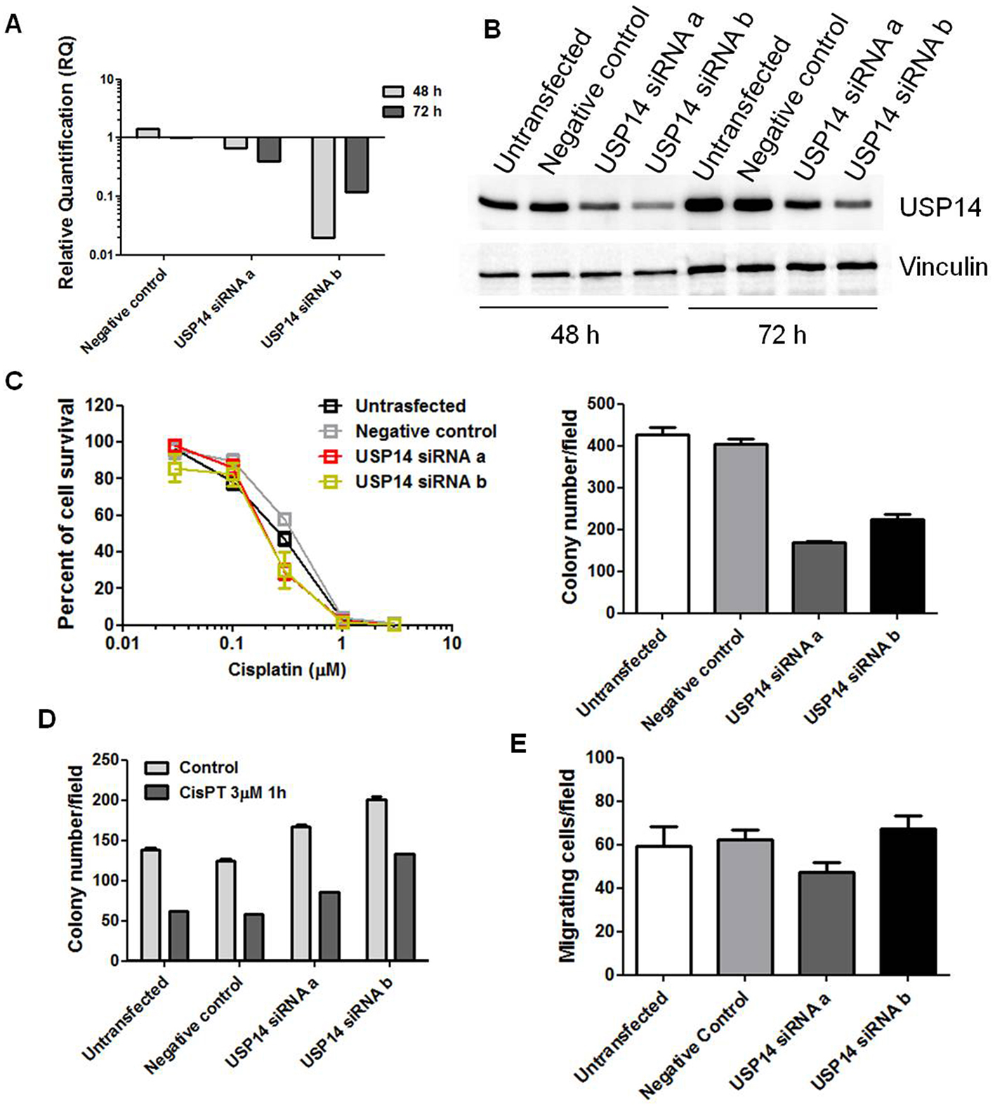 Molecular targeting of the deubiquitinase USP14 to circumvent cisplatin resistance in ovarian carcinoma and identification of novel inhibitors