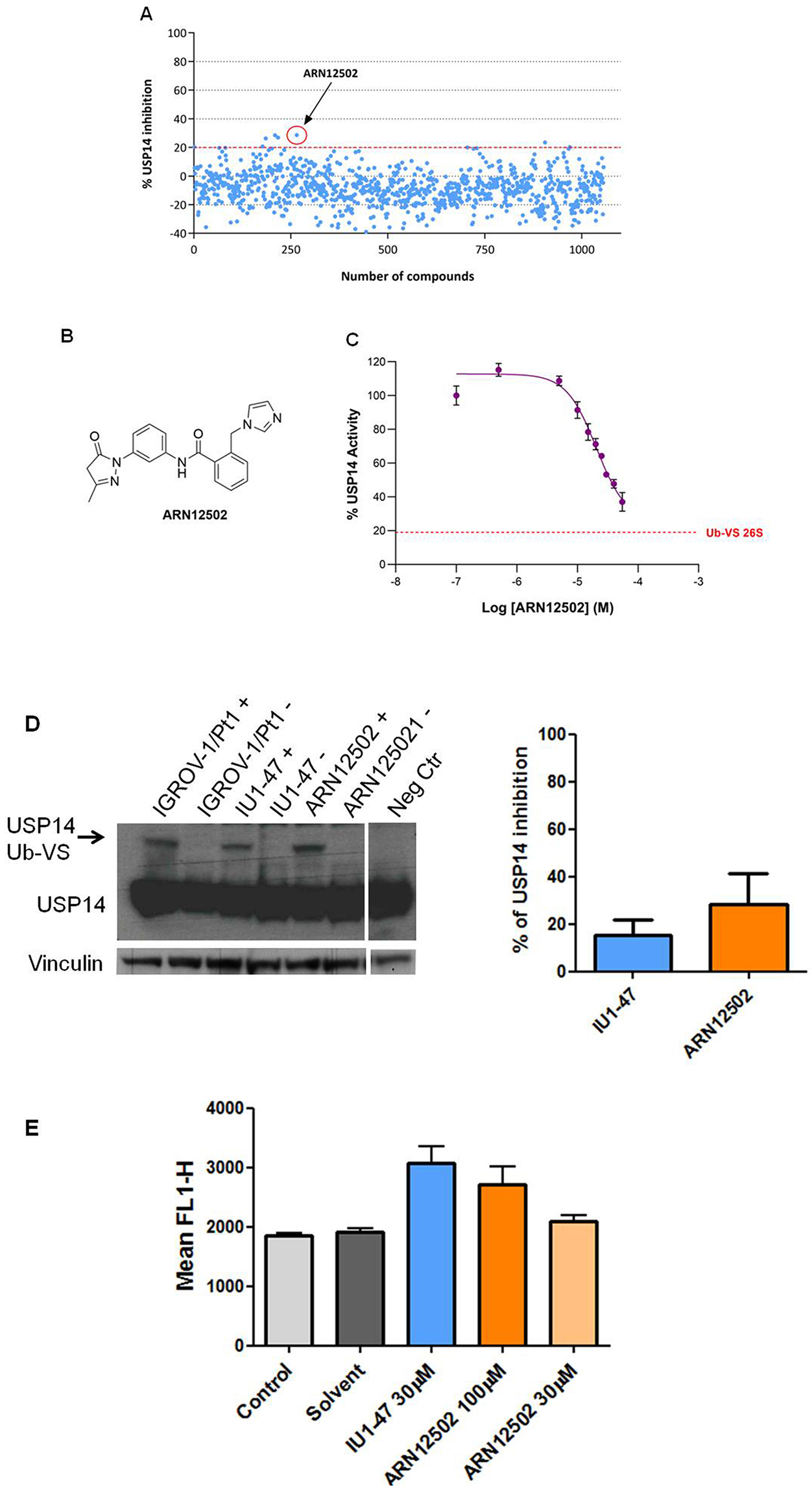 Molecular targeting of the deubiquitinase USP14 to circumvent cisplatin resistance in ovarian carcinoma and identification of novel inhibitors