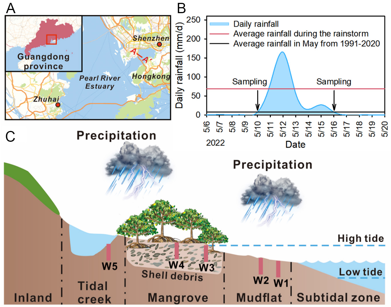 Response of dissolved organic carbon molecular footprints in mangrove tidal flats to extreme rainstorm events