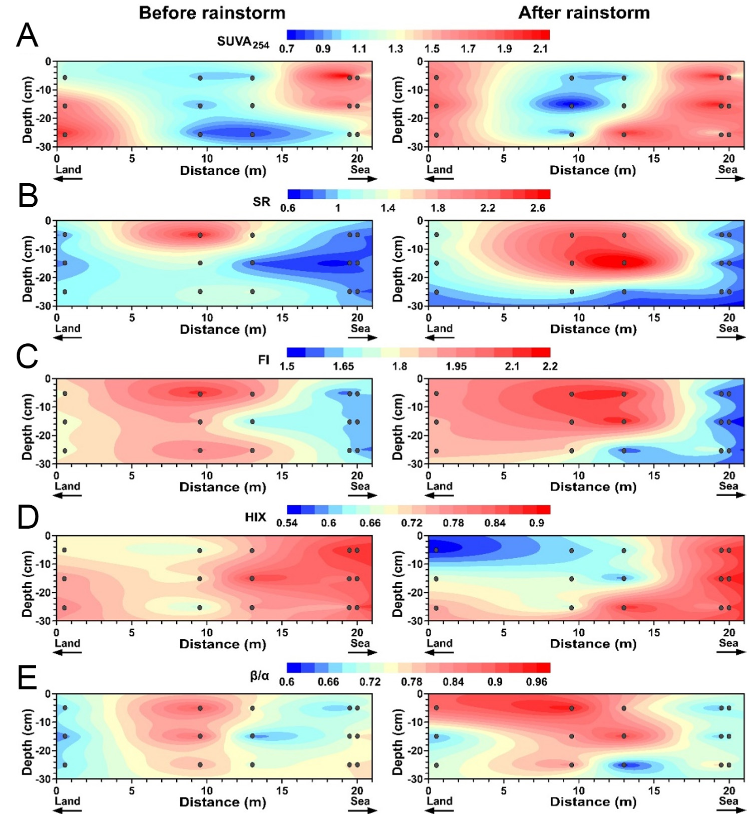 Response of dissolved organic carbon molecular footprints in mangrove tidal flats to extreme rainstorm events