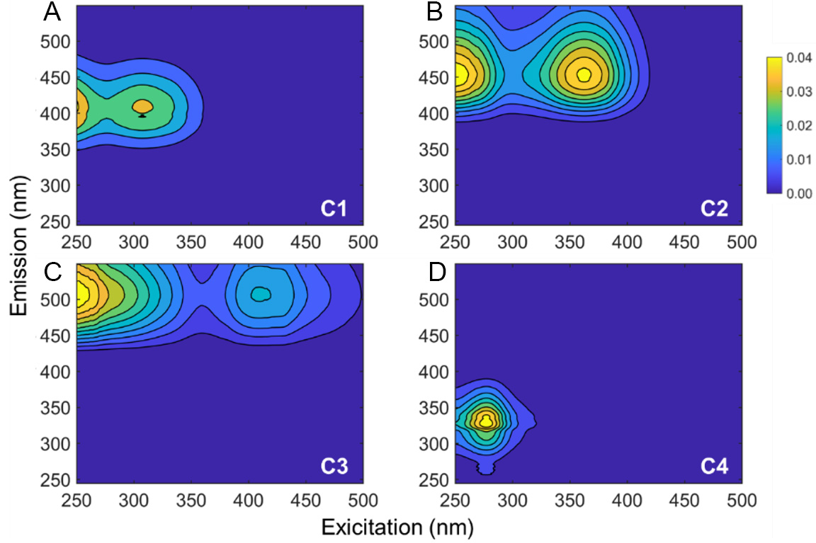 Response of dissolved organic carbon molecular footprints in mangrove tidal flats to extreme rainstorm events