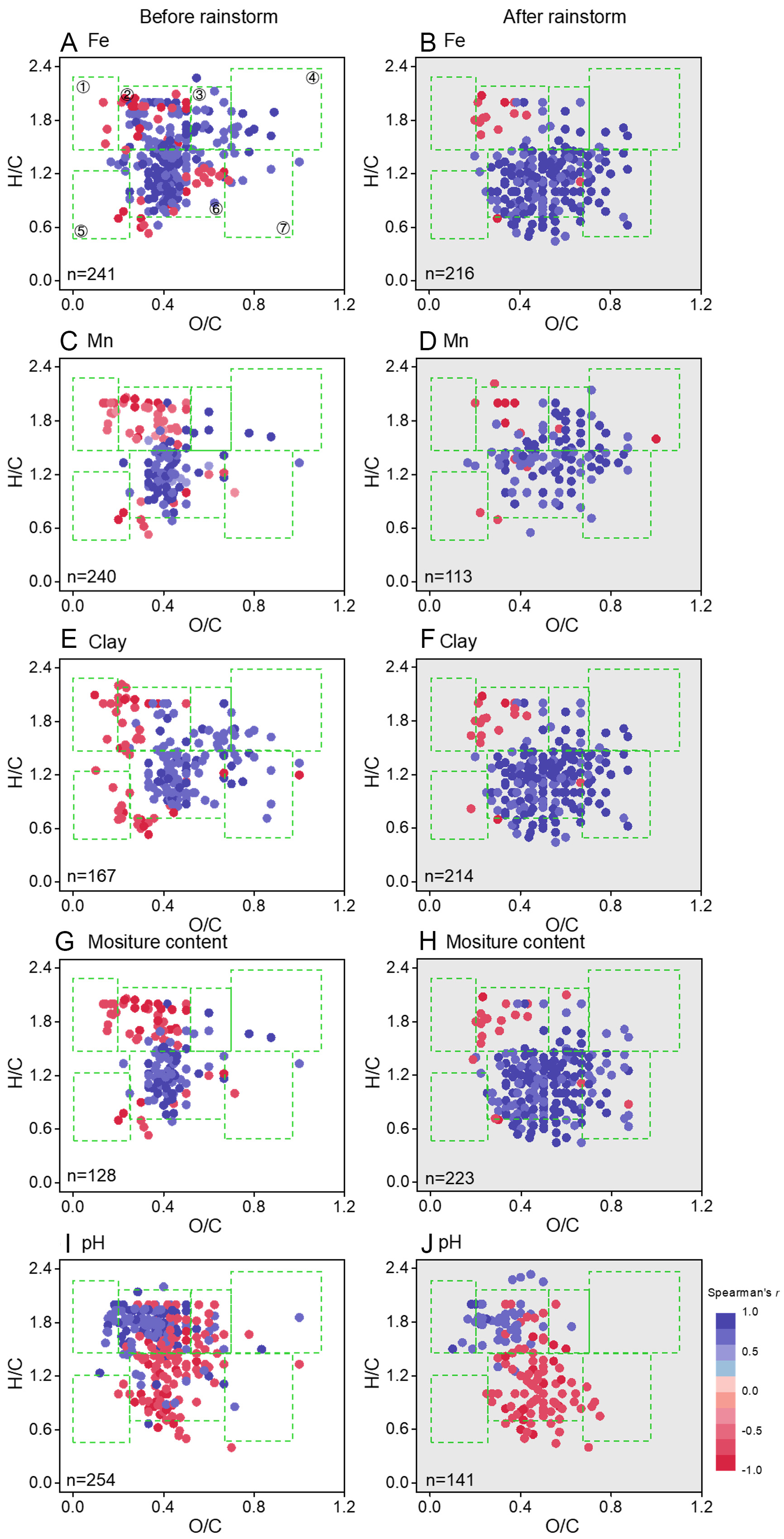 Response of dissolved organic carbon molecular footprints in mangrove tidal flats to extreme rainstorm events