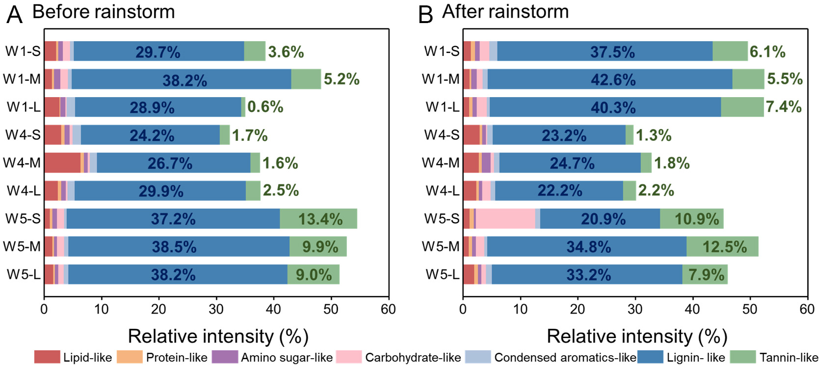 Response of dissolved organic carbon molecular footprints in mangrove tidal flats to extreme rainstorm events