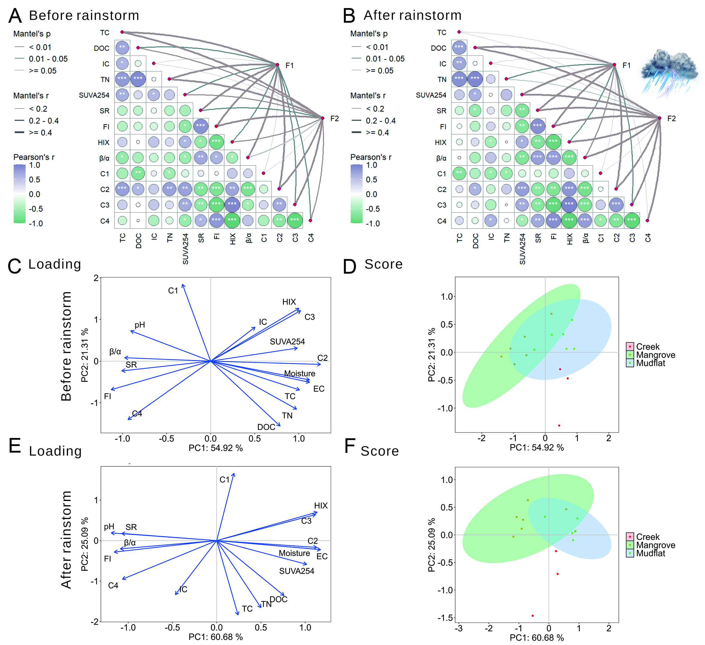 Response of dissolved organic carbon molecular footprints in mangrove tidal flats to extreme rainstorm events