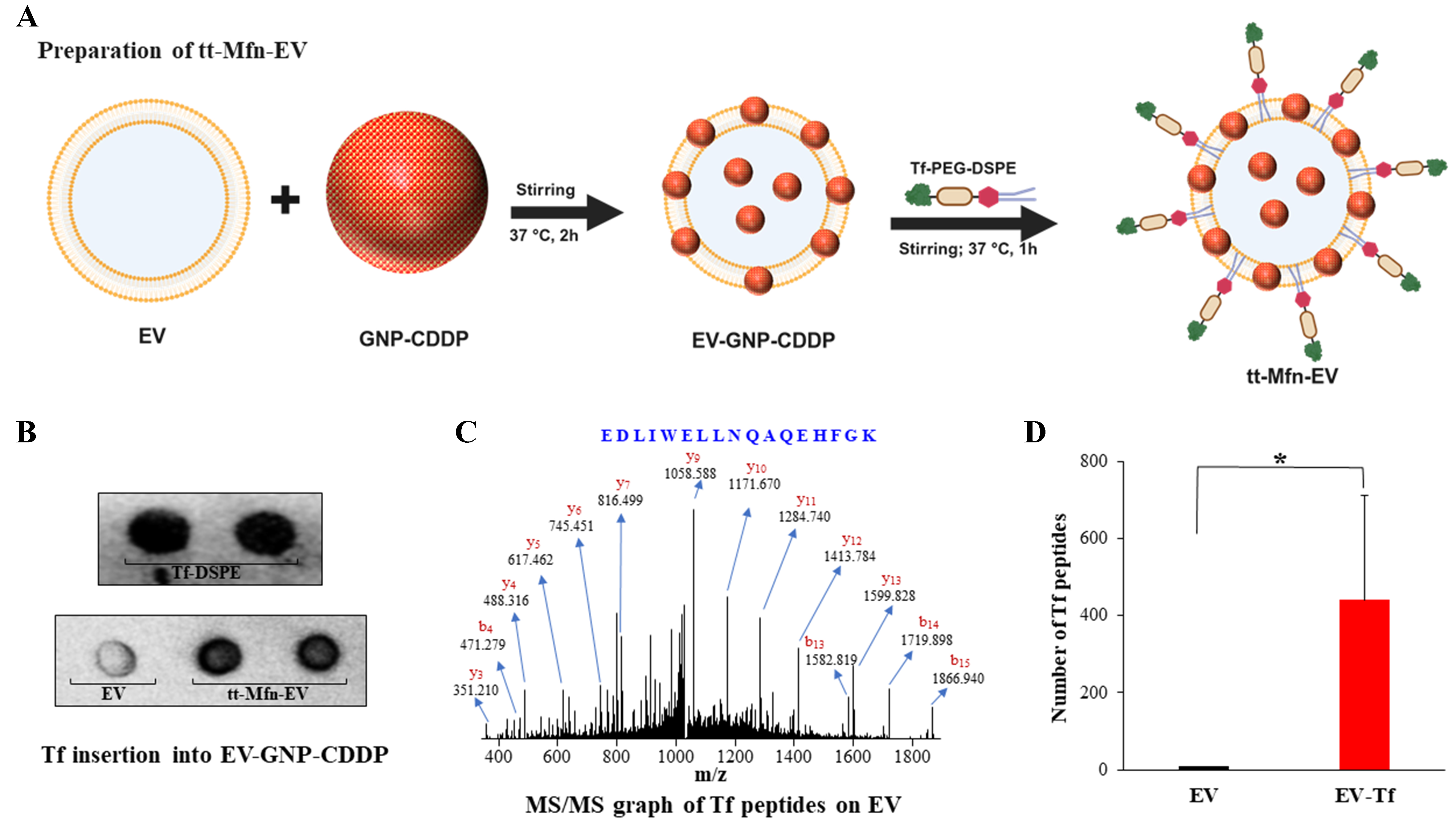 Tumor-targeted multifunctional extracellular vesicles as drug carriers for lung cancer therapy