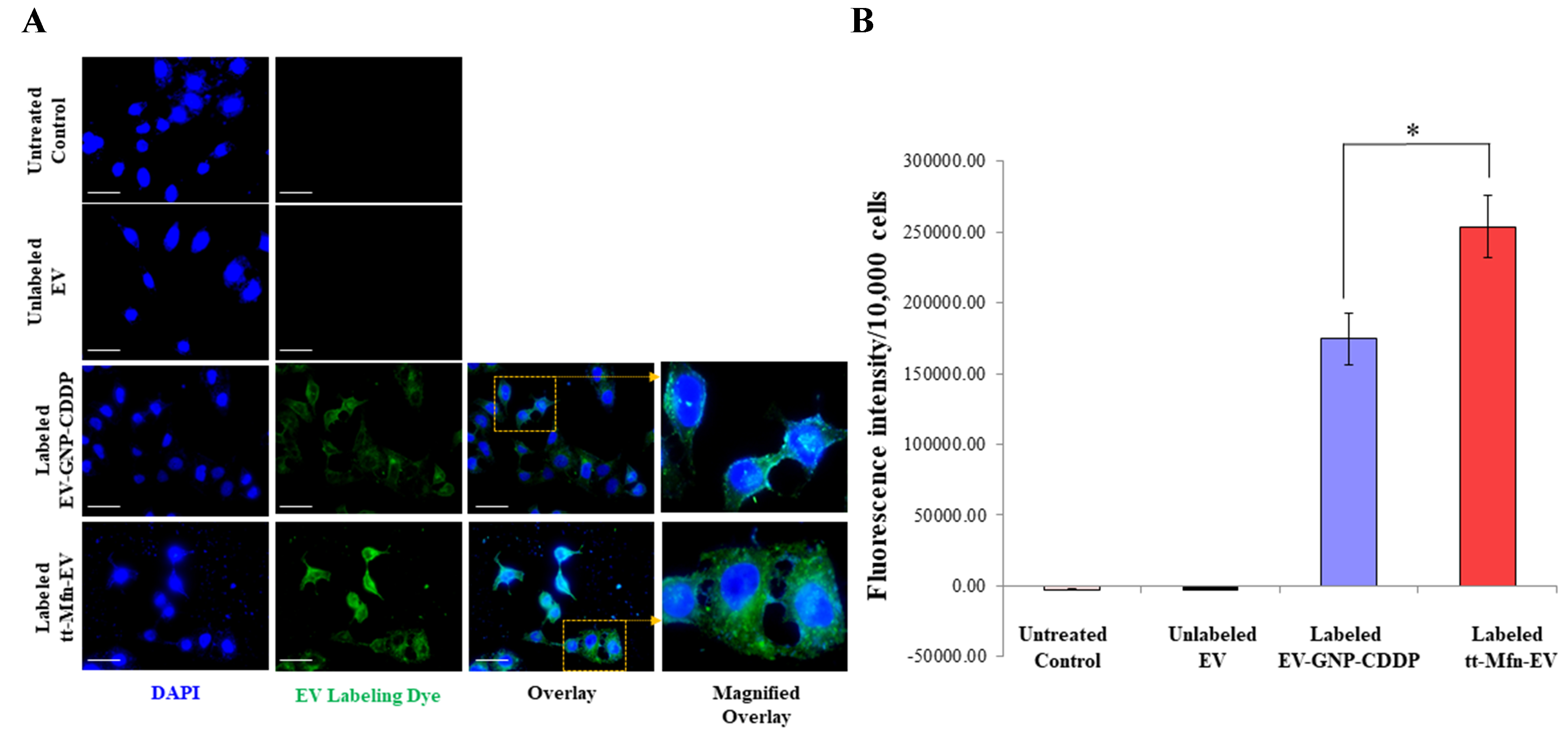 Tumor-targeted multifunctional extracellular vesicles as drug carriers for lung cancer therapy