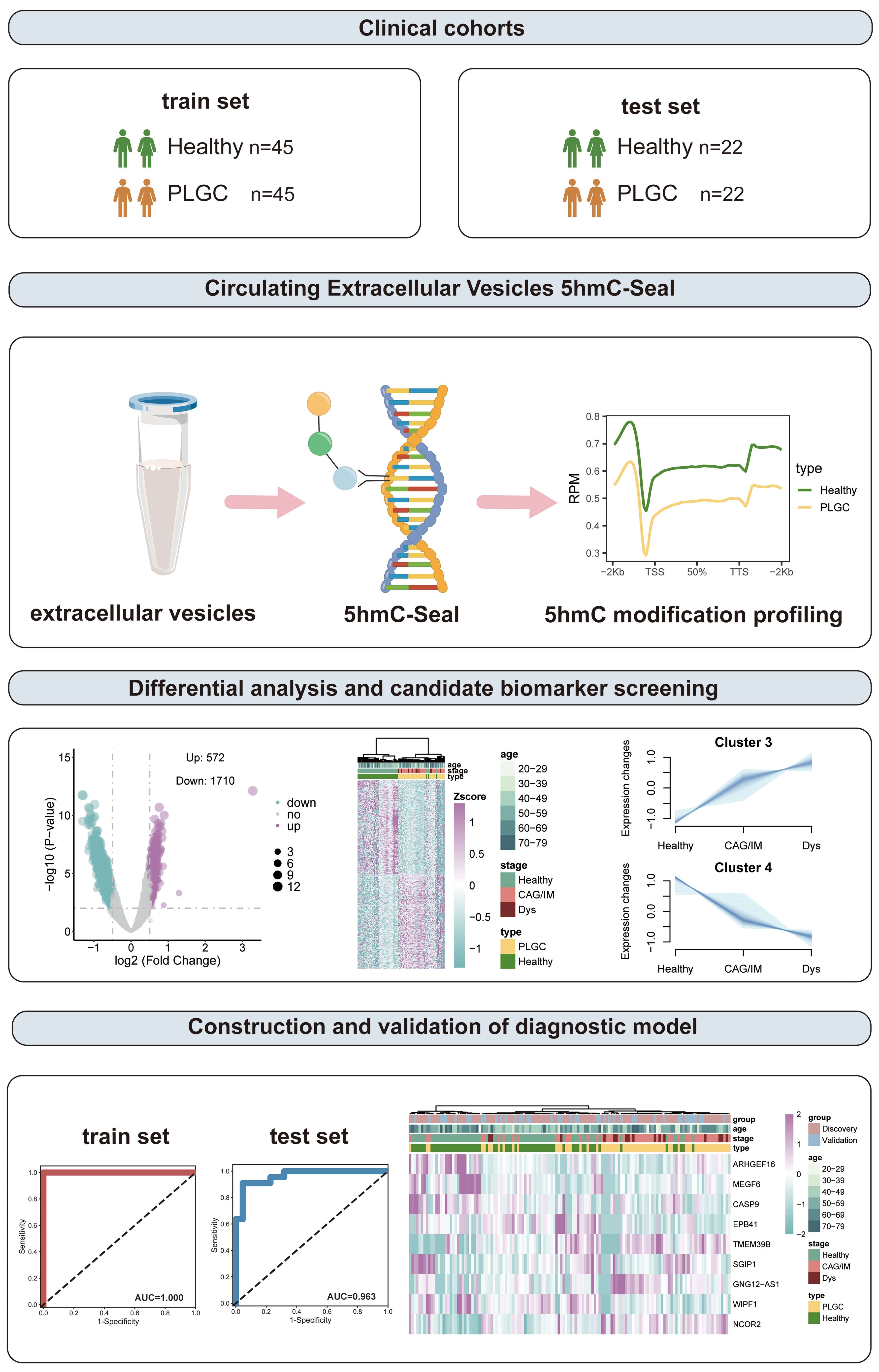 5-hydroxymethylcytosine signature in plasma extracellular vesicle DNA as a diagnostic molecular biomarker for precancerous lesions of gastric cancer