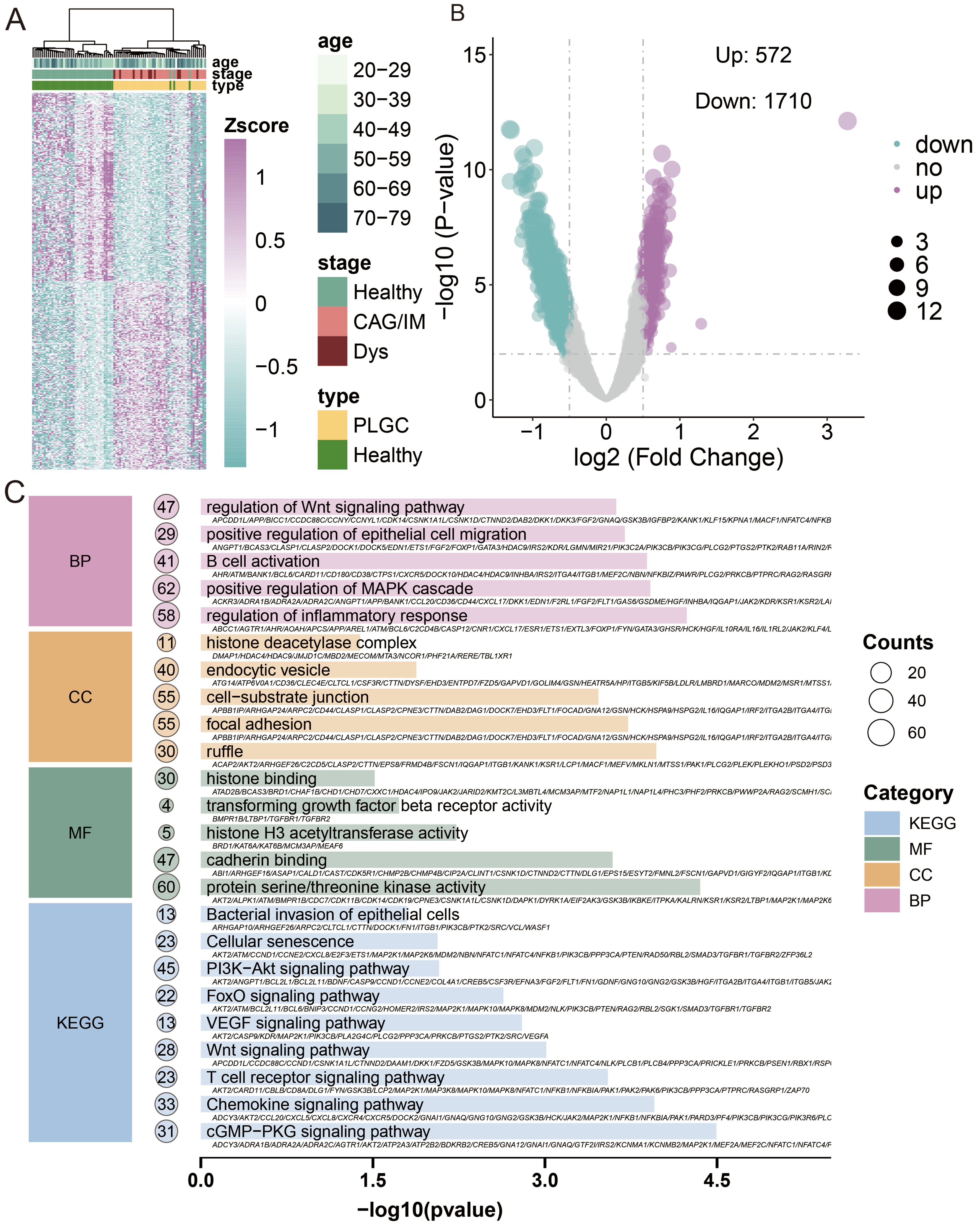 5-hydroxymethylcytosine signature in plasma extracellular vesicle DNA as a diagnostic molecular biomarker for precancerous lesions of gastric cancer