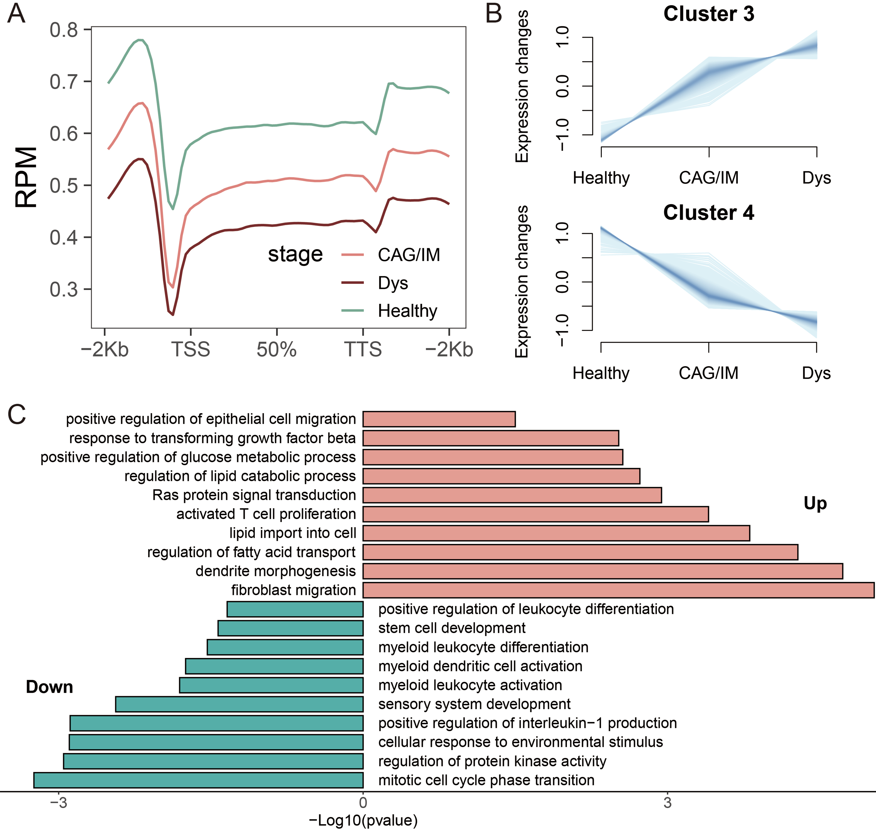5-hydroxymethylcytosine signature in plasma extracellular vesicle DNA as a diagnostic molecular biomarker for precancerous lesions of gastric cancer