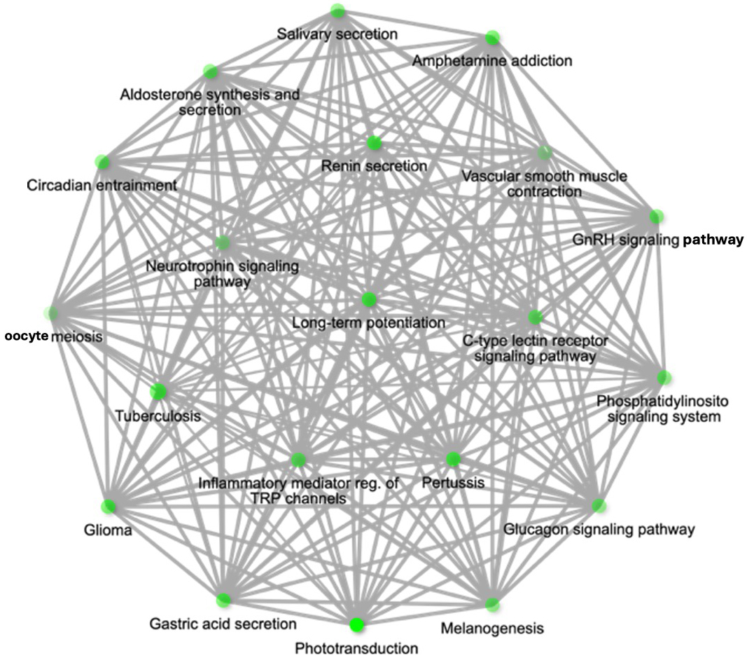 <i>Toxoplasma gondii</i> infection induces extracellular vesicle miRNAs in synaptic plasticity and neural mechanisms