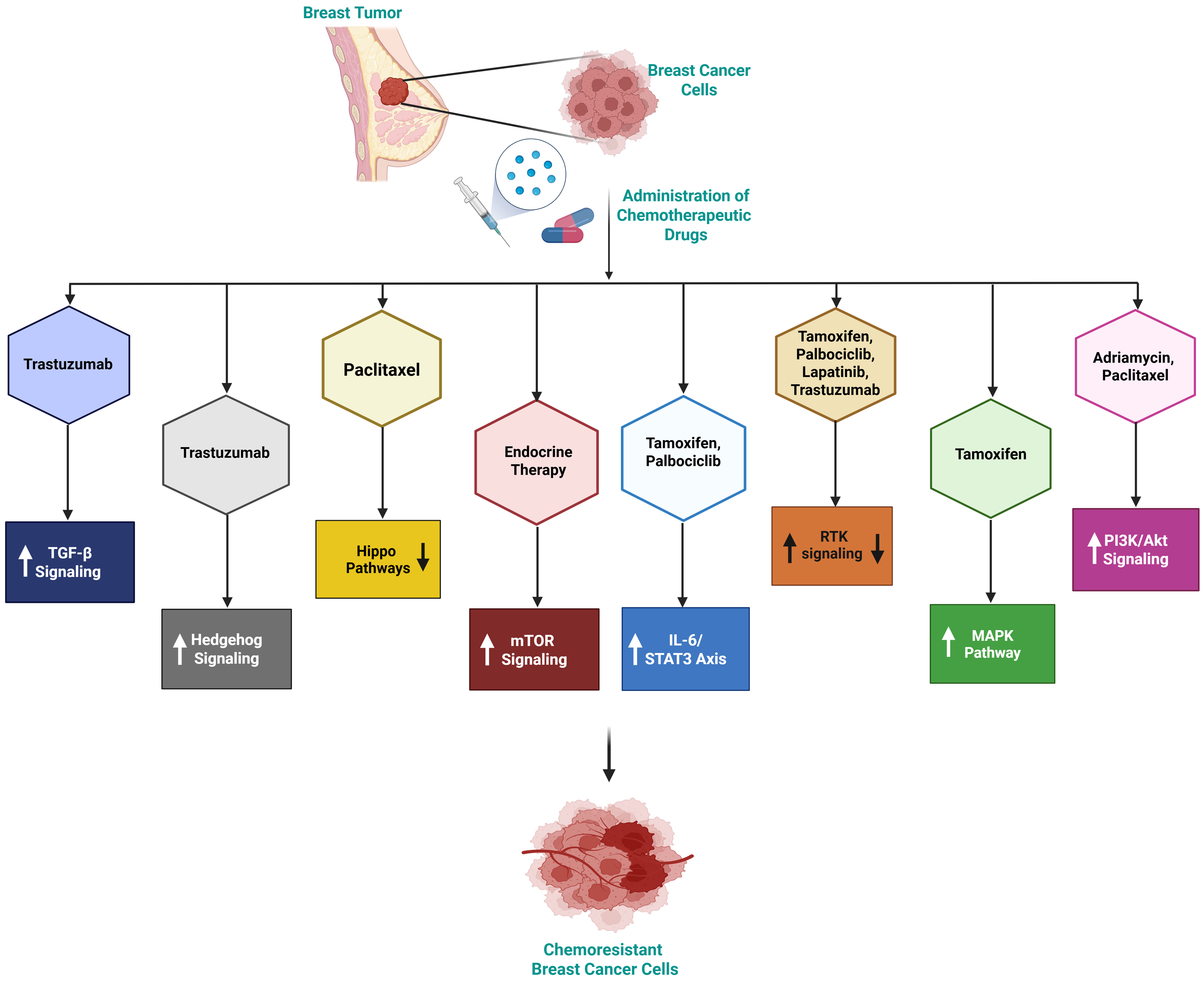 Decoding breast cancer treatment resistance through genetic, epigenetic, and immune-regulatory mechanisms: from molecular insights to translational perspectives