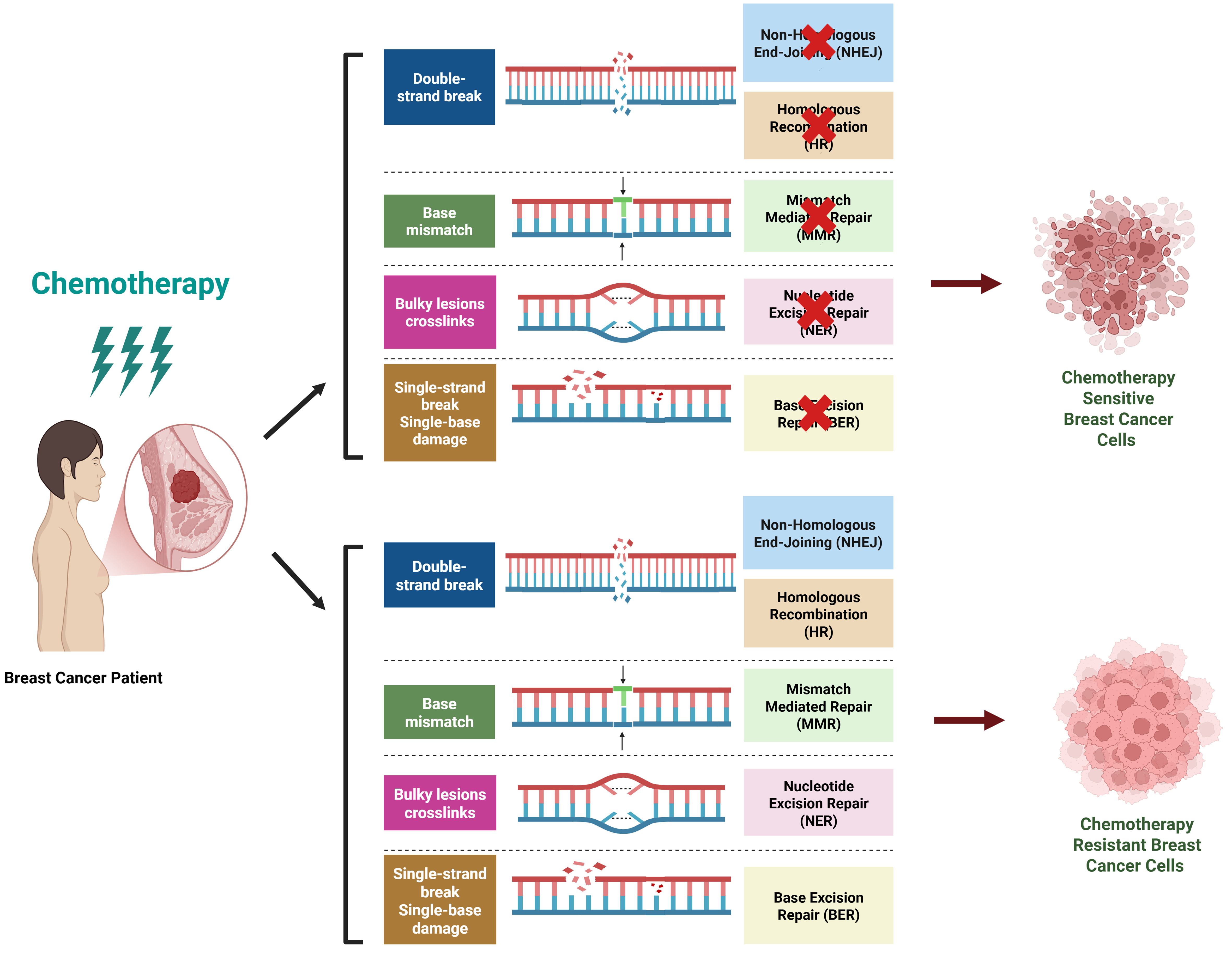 Decoding breast cancer treatment resistance through genetic, epigenetic, and immune-regulatory mechanisms: from molecular insights to translational perspectives