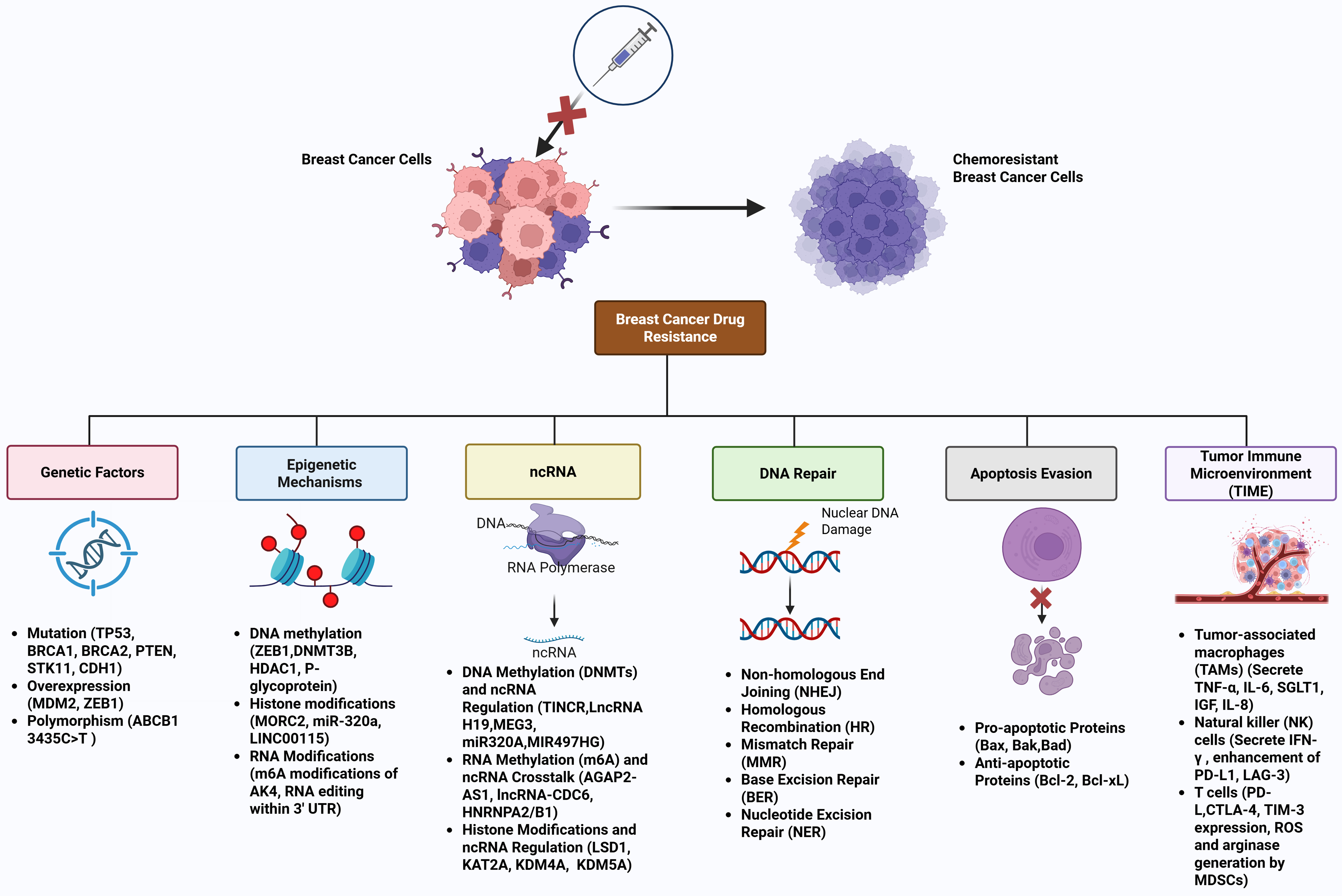 Decoding breast cancer treatment resistance through genetic, epigenetic, and immune-regulatory mechanisms: from molecular insights to translational perspectives
