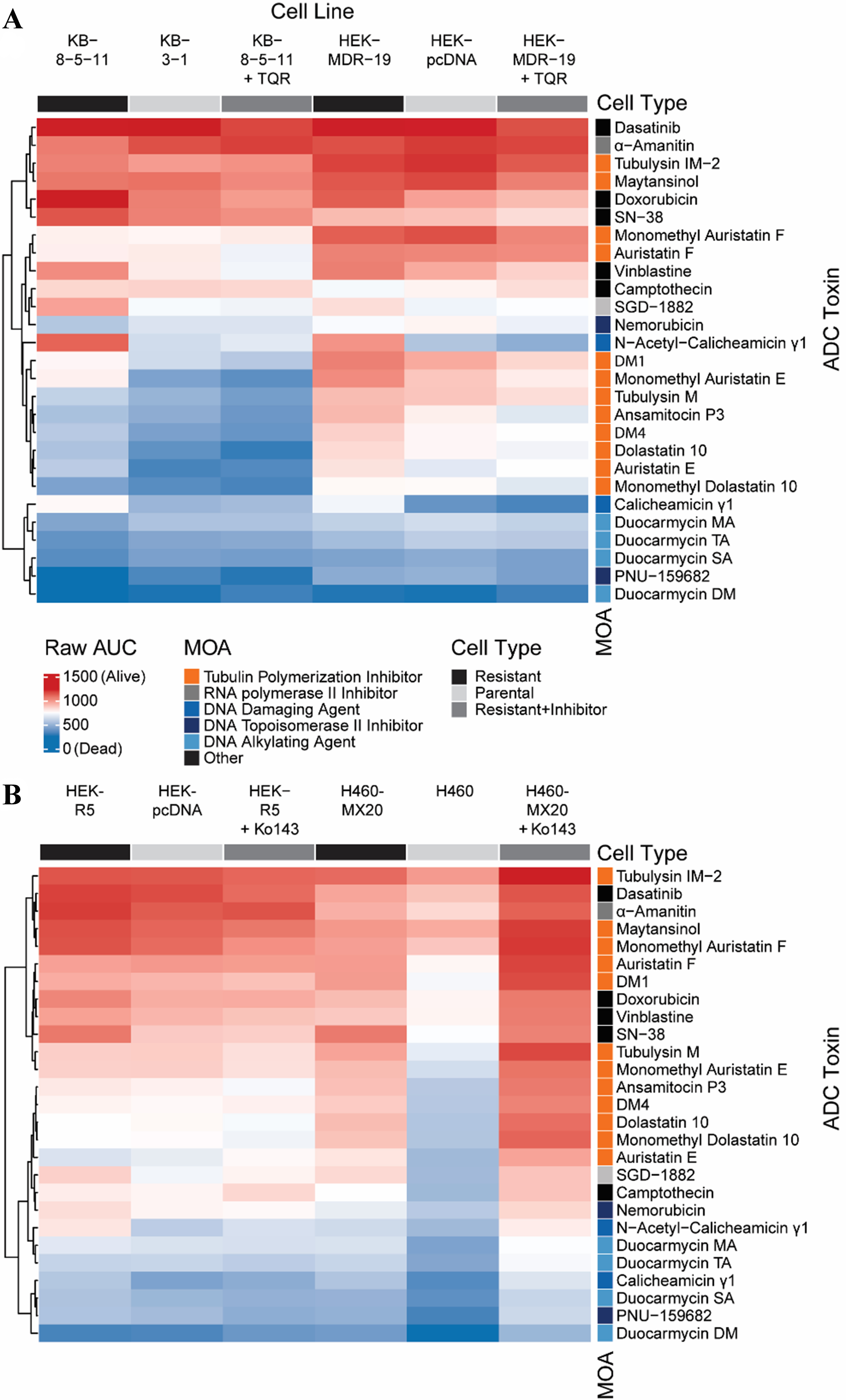Identification of antibody-drug conjugate payloads that are substrates of ATP-binding cassette drug efflux transporters