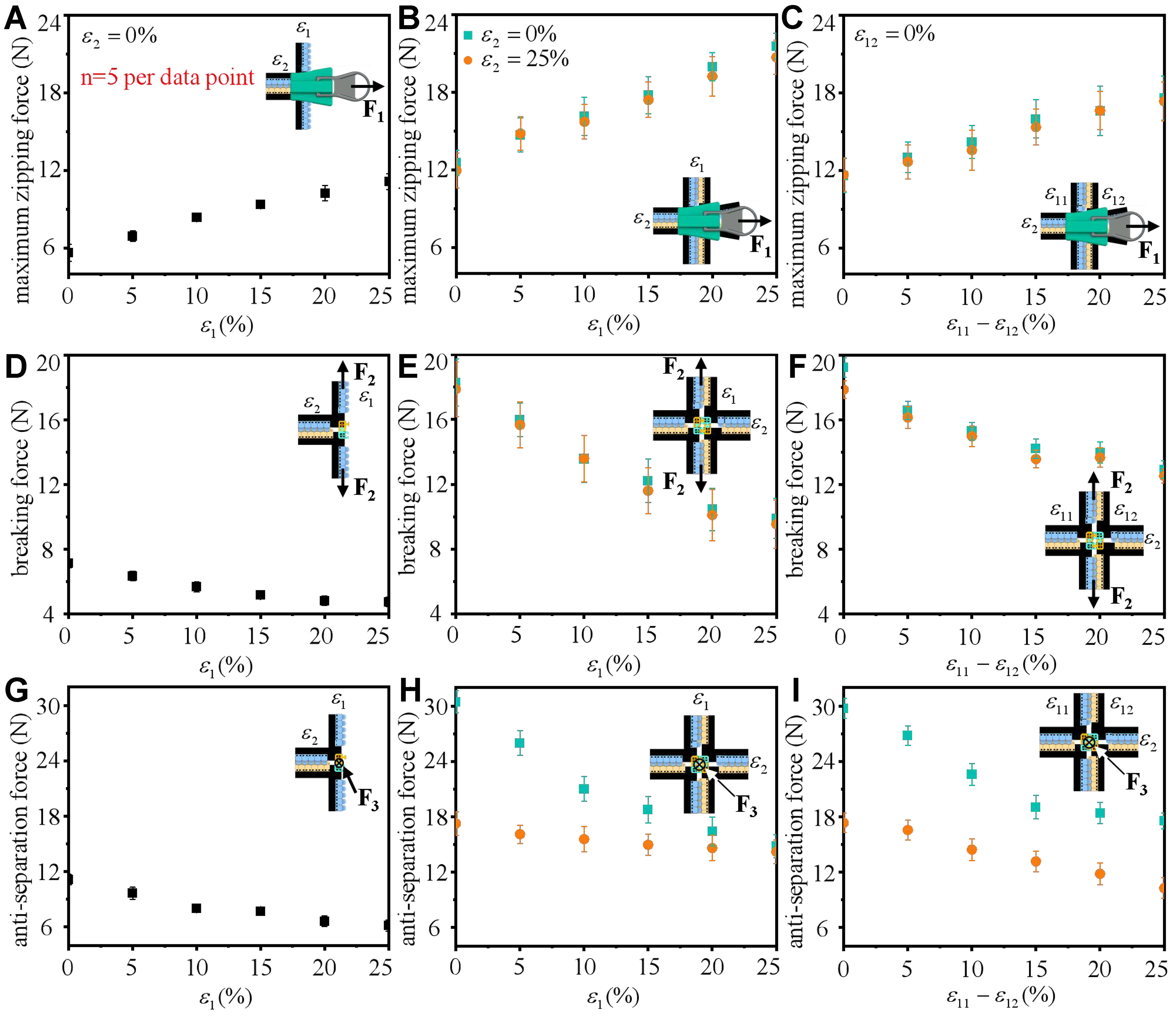 Crossed stretchable zipper