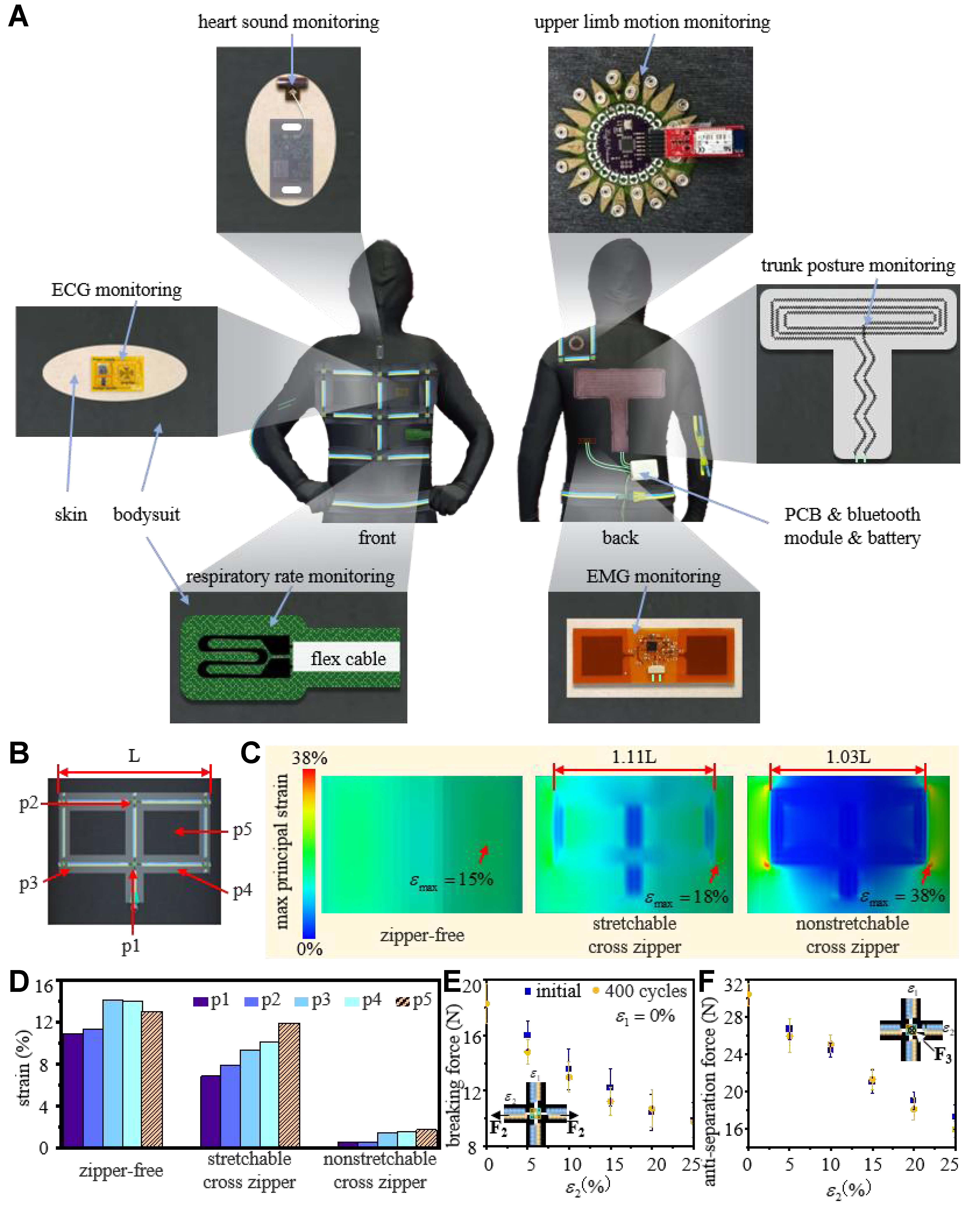 Crossed stretchable zipper