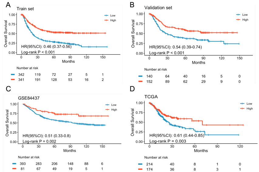 Exploring the value of immune-related gene set score in gastric cancer prognosis and immunotherapy efficacy