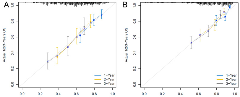 Exploring the value of immune-related gene set score in gastric cancer prognosis and immunotherapy efficacy
