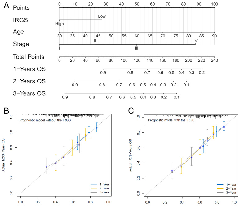 Exploring the value of immune-related gene set score in gastric cancer prognosis and immunotherapy efficacy