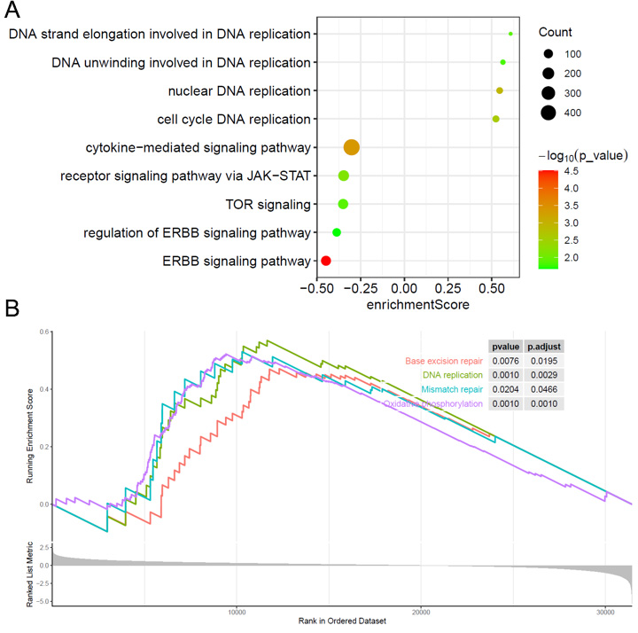 Exploring the value of immune-related gene set score in gastric cancer prognosis and immunotherapy efficacy