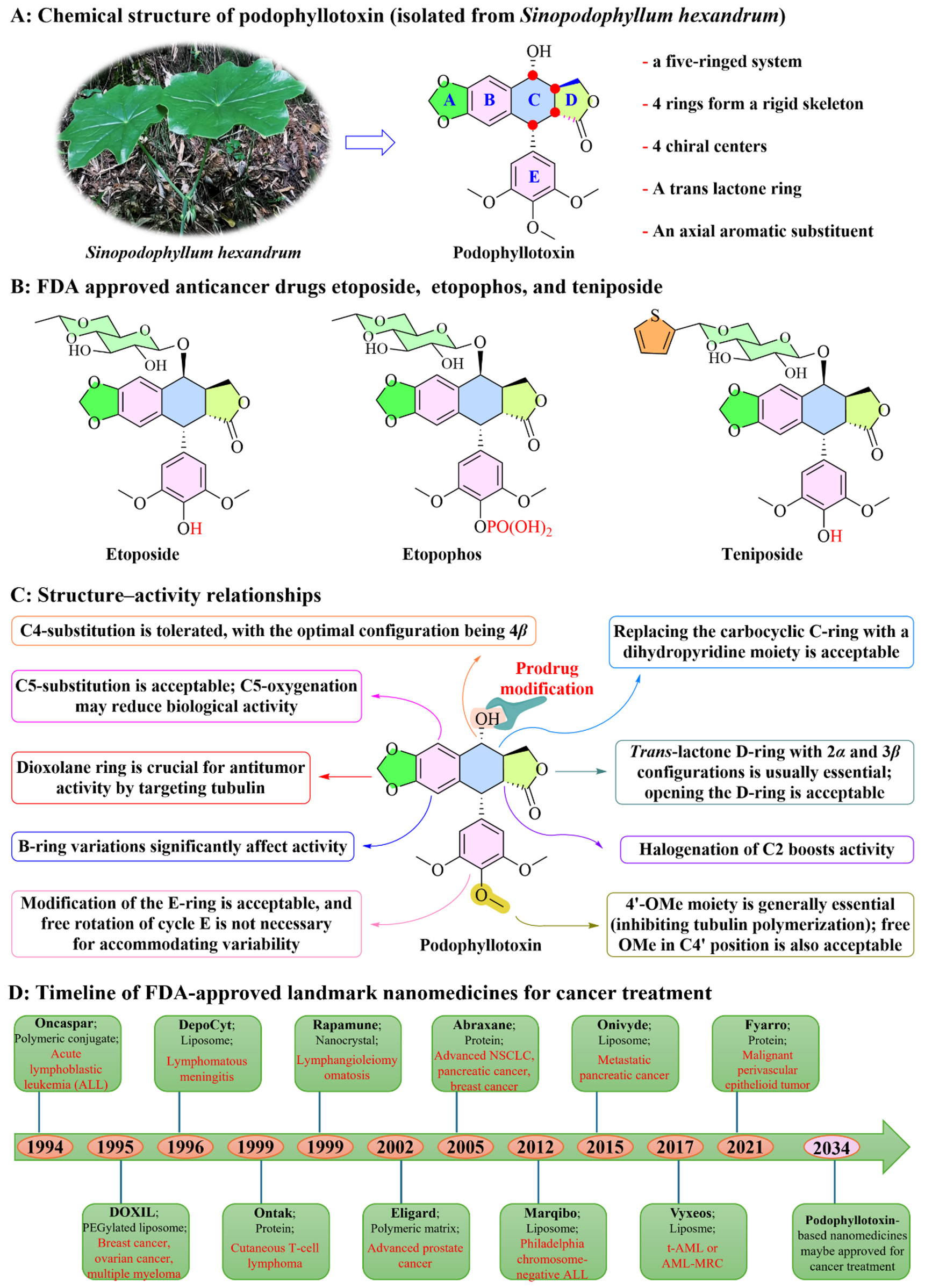 Bench-to-bedside translation of podophyllotoxin-based nanomedicines for cancer treatment: utopias and reality?