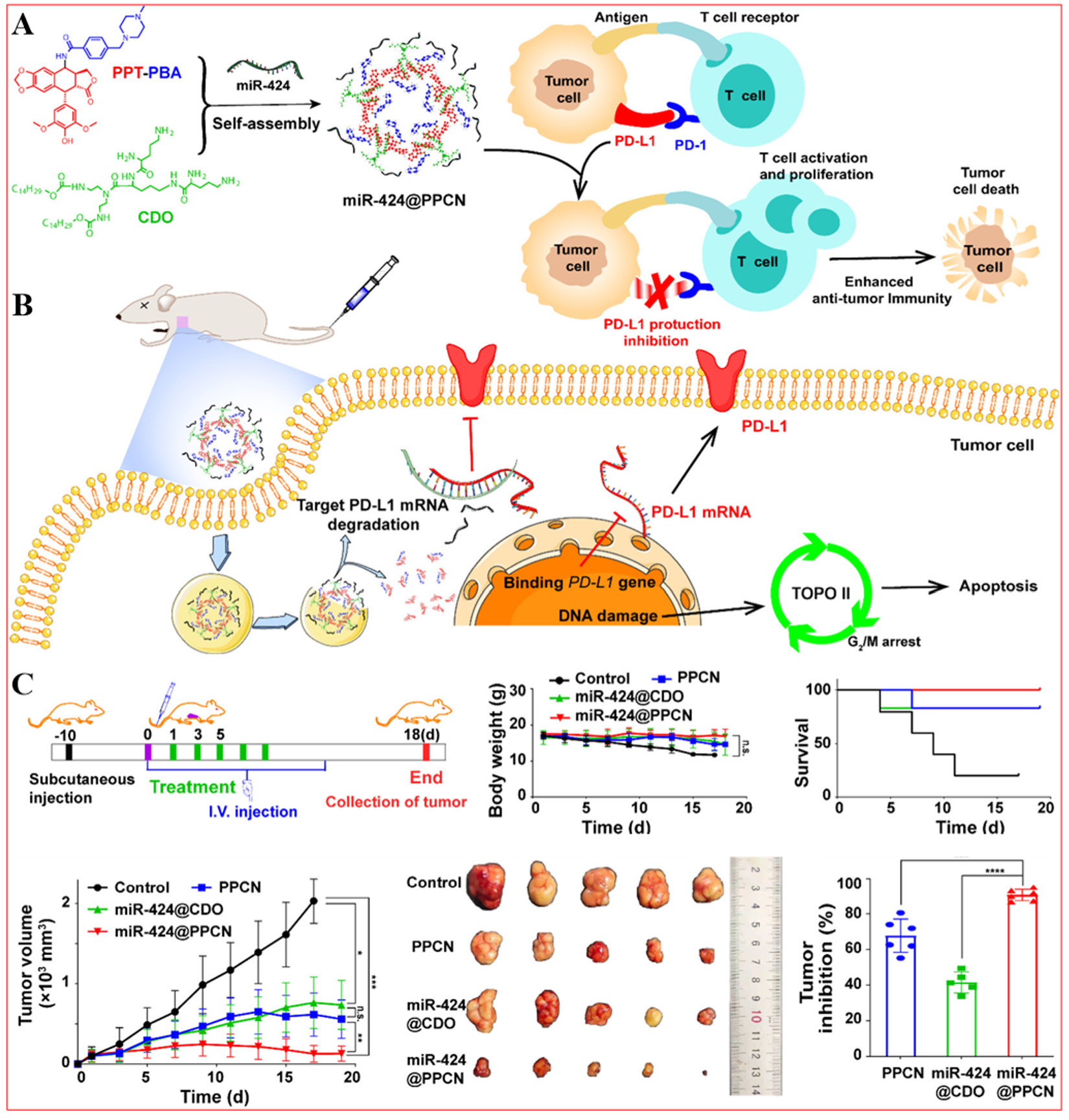Bench-to-bedside translation of podophyllotoxin-based nanomedicines for cancer treatment: utopias and reality?