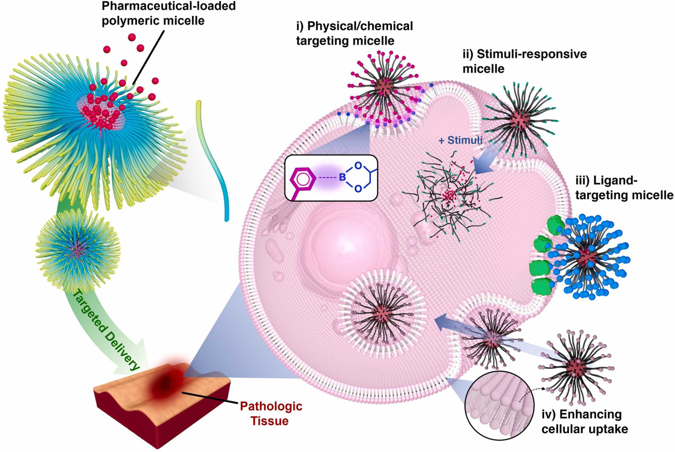 Bench-to-bedside translation of podophyllotoxin-based nanomedicines for cancer treatment: utopias and reality?